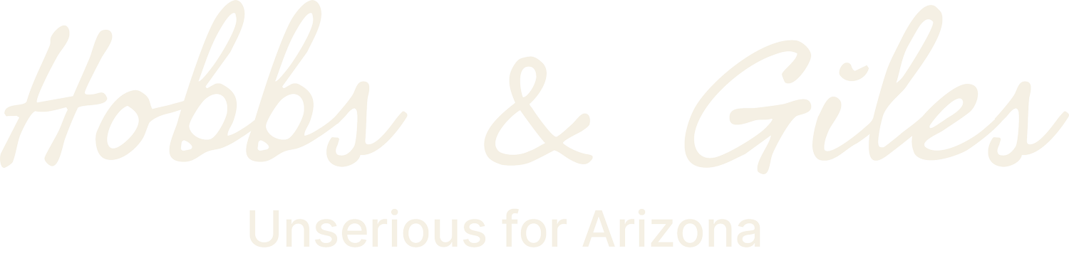 Hobbs &amp; Giles: Unserious for Arizona