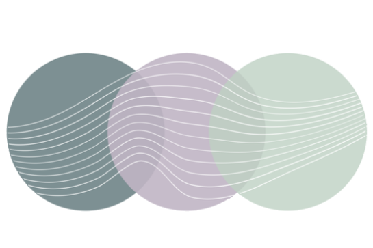 The Chronic Support Project