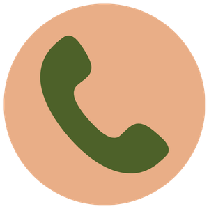 Phone icon