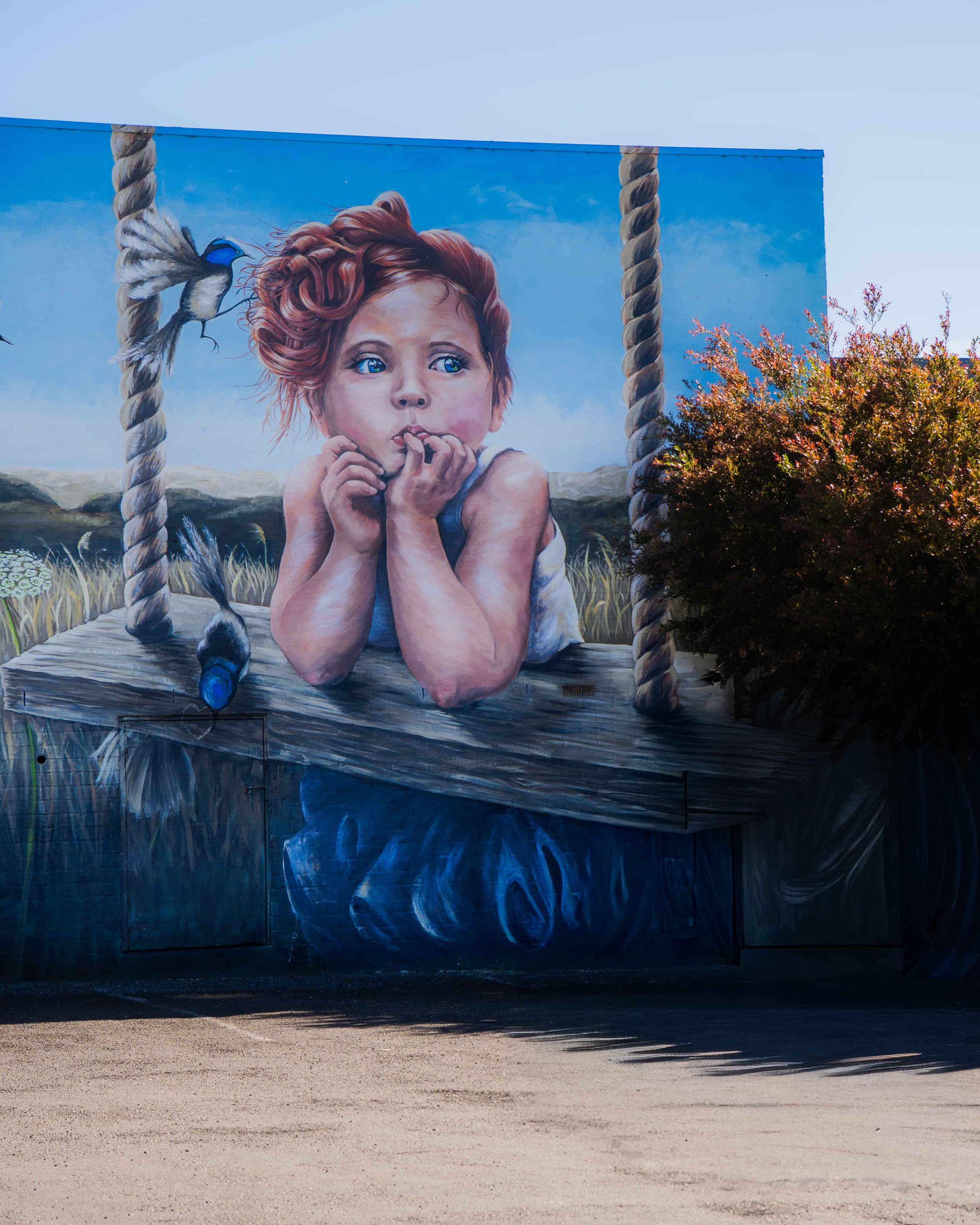 The painted mural on the wall at Pambula Village Dental Practice. Painted by the very talented Terri Tuckwell.