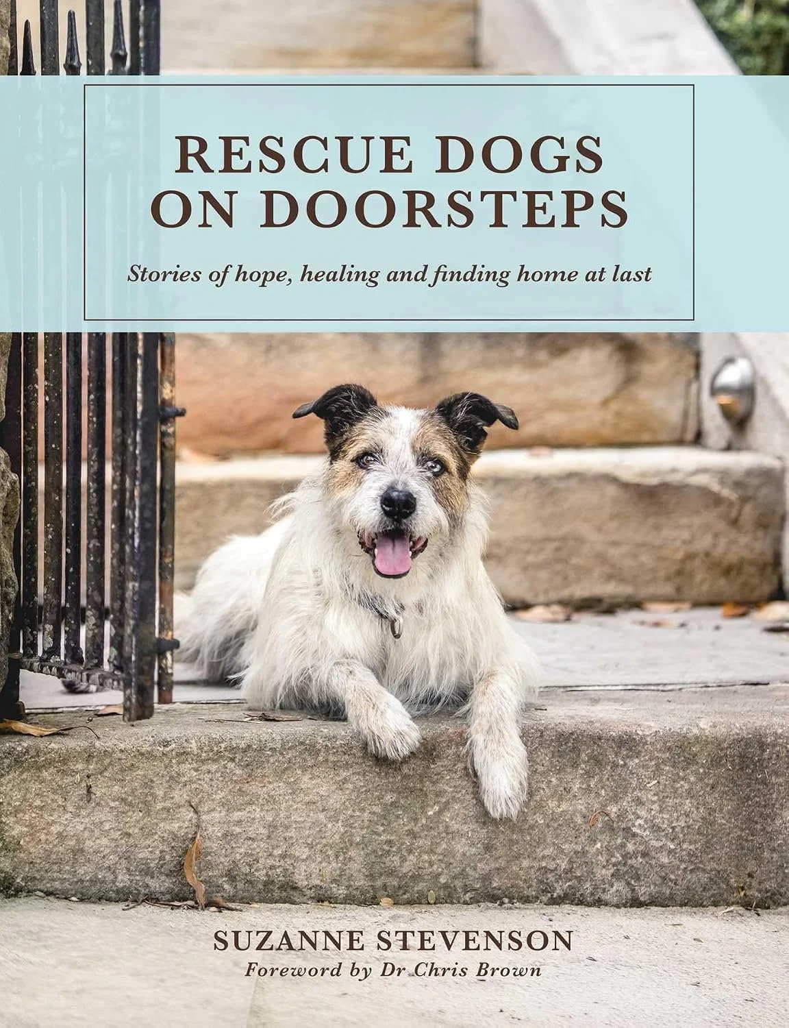 Rescue Dogs.jpg