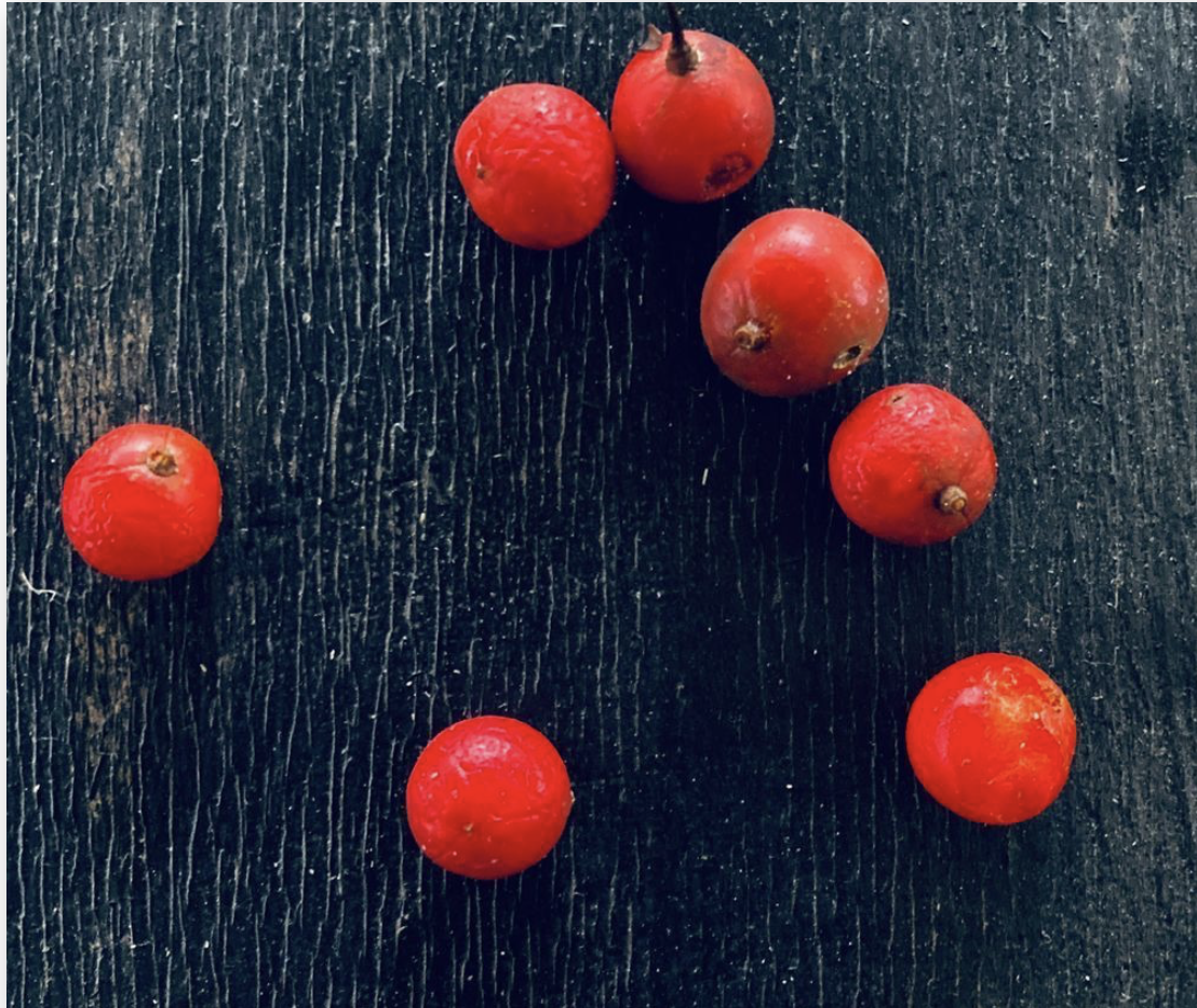 Red Berries - The vivid red berries placed on my black outside table created a striking contrast.