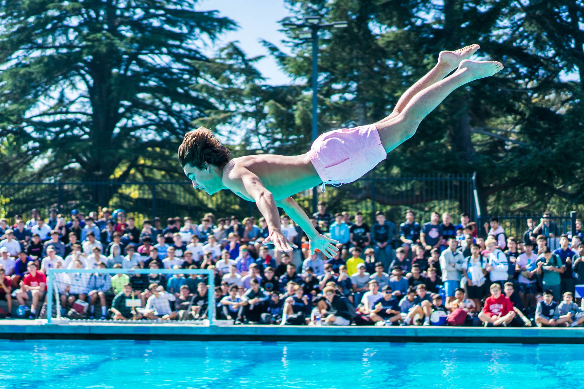 A male diver mid-air, performing a dive into a pool during a public event with a large crowd seated outdoors in the background. Tall trees and a clear blue sky are also visible.