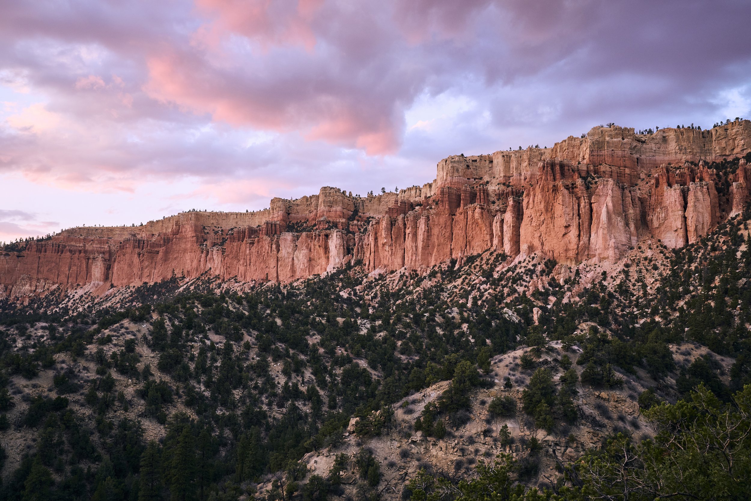 Rocky cliffs with sparse trees under a cloudy pink and purple sky at sunset.