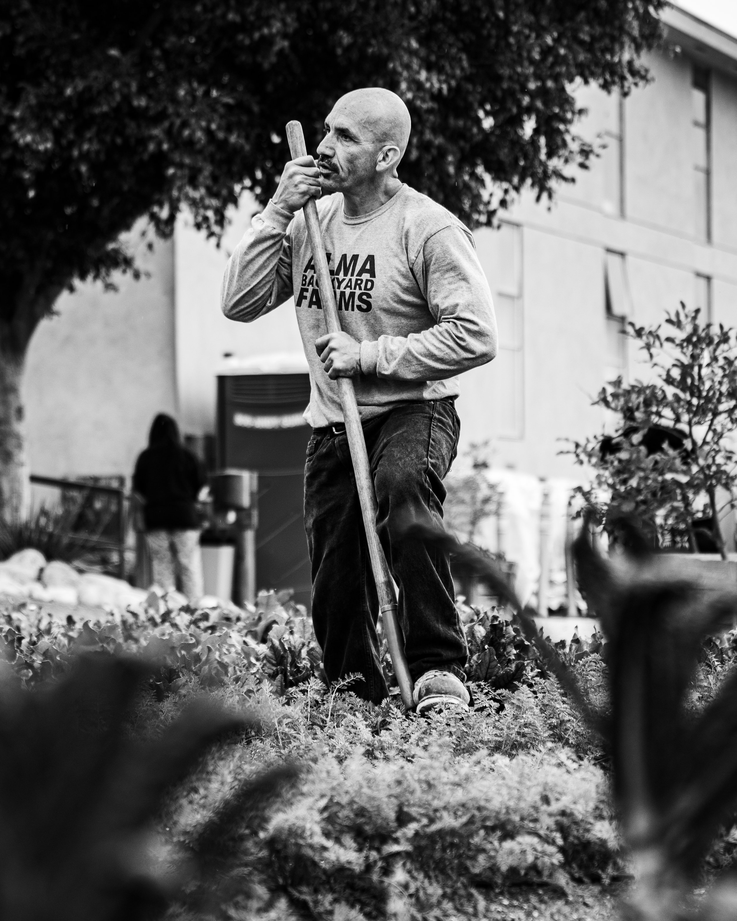 A bald man wearing a sweatshirt with the words 'Alma Backyard Farms' holding a gardening tool, standing in a garden with plants and trees, seen through a ground-level perspective with a reflection or frame around the edges.