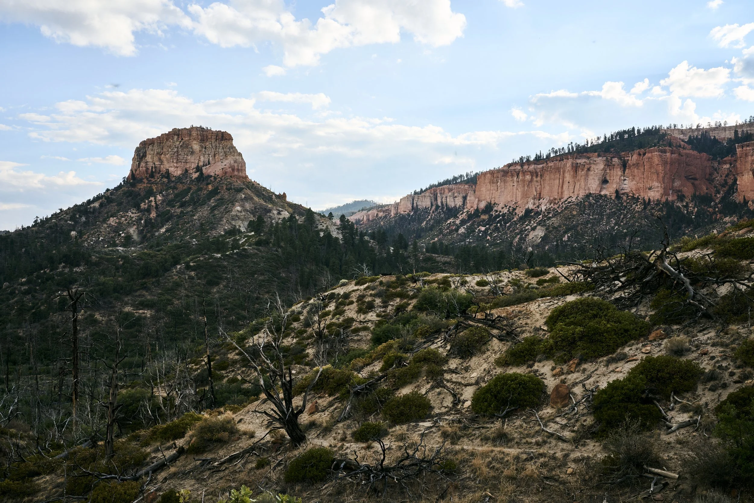 Rock formations in a mountainous area with green trees and shrubs, partly cloudy sky.