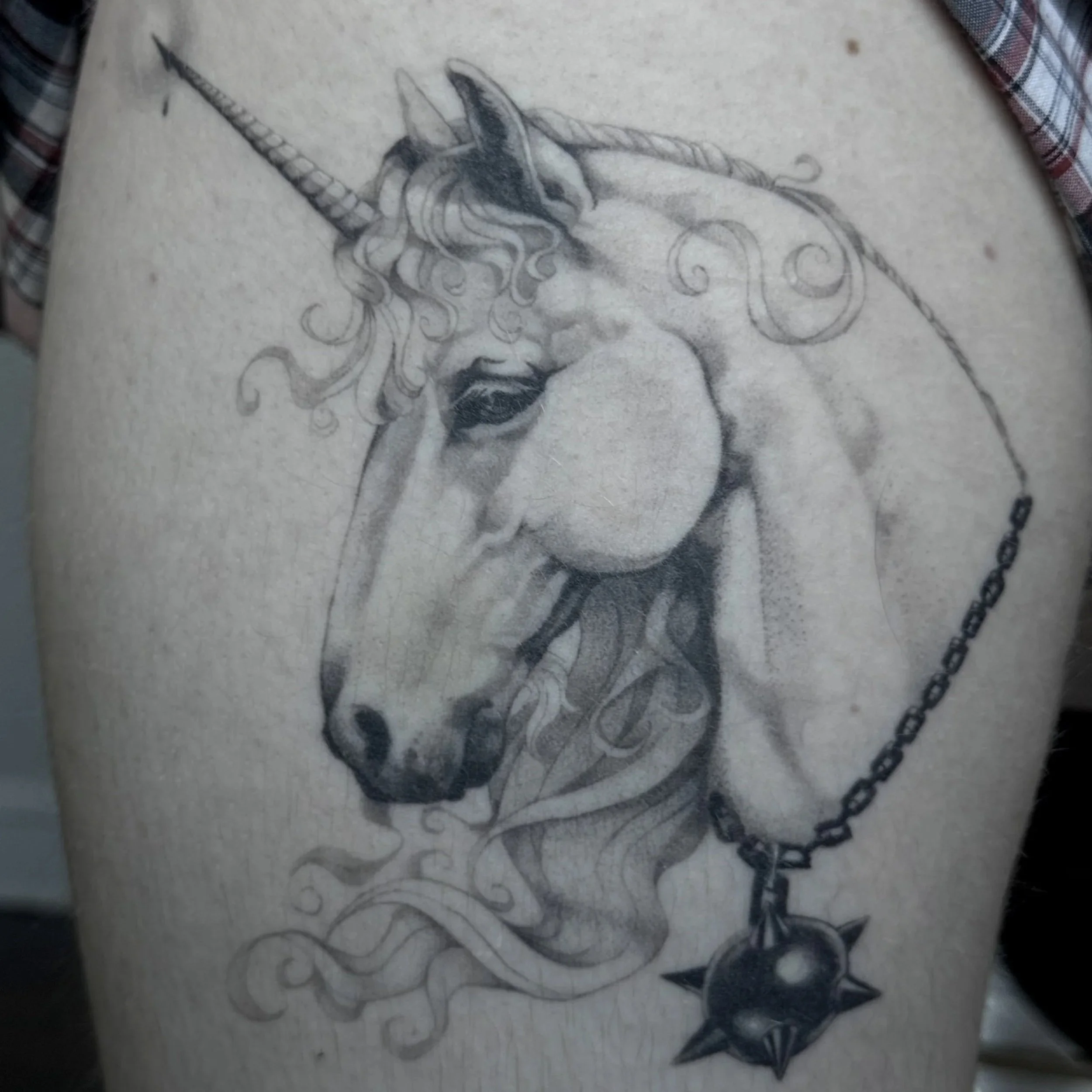 unicorn.jpg