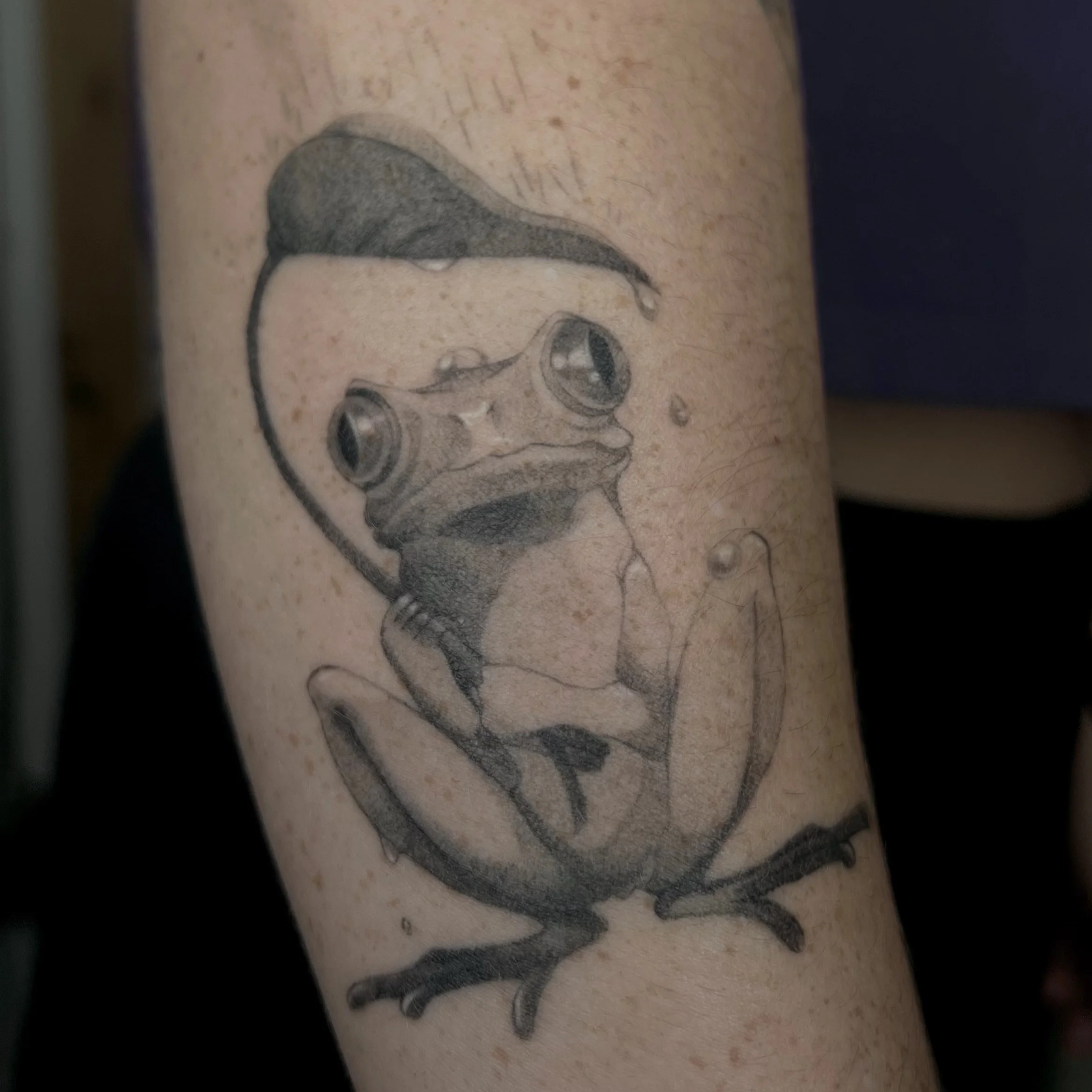 frog.png