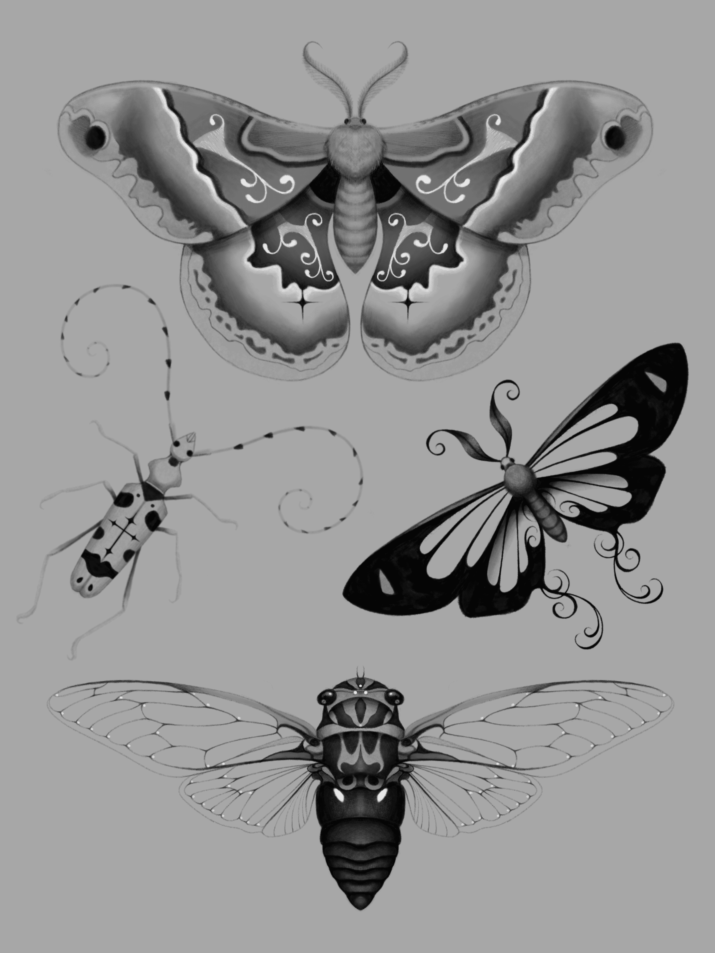 Bugs_BleuDaghlian.png