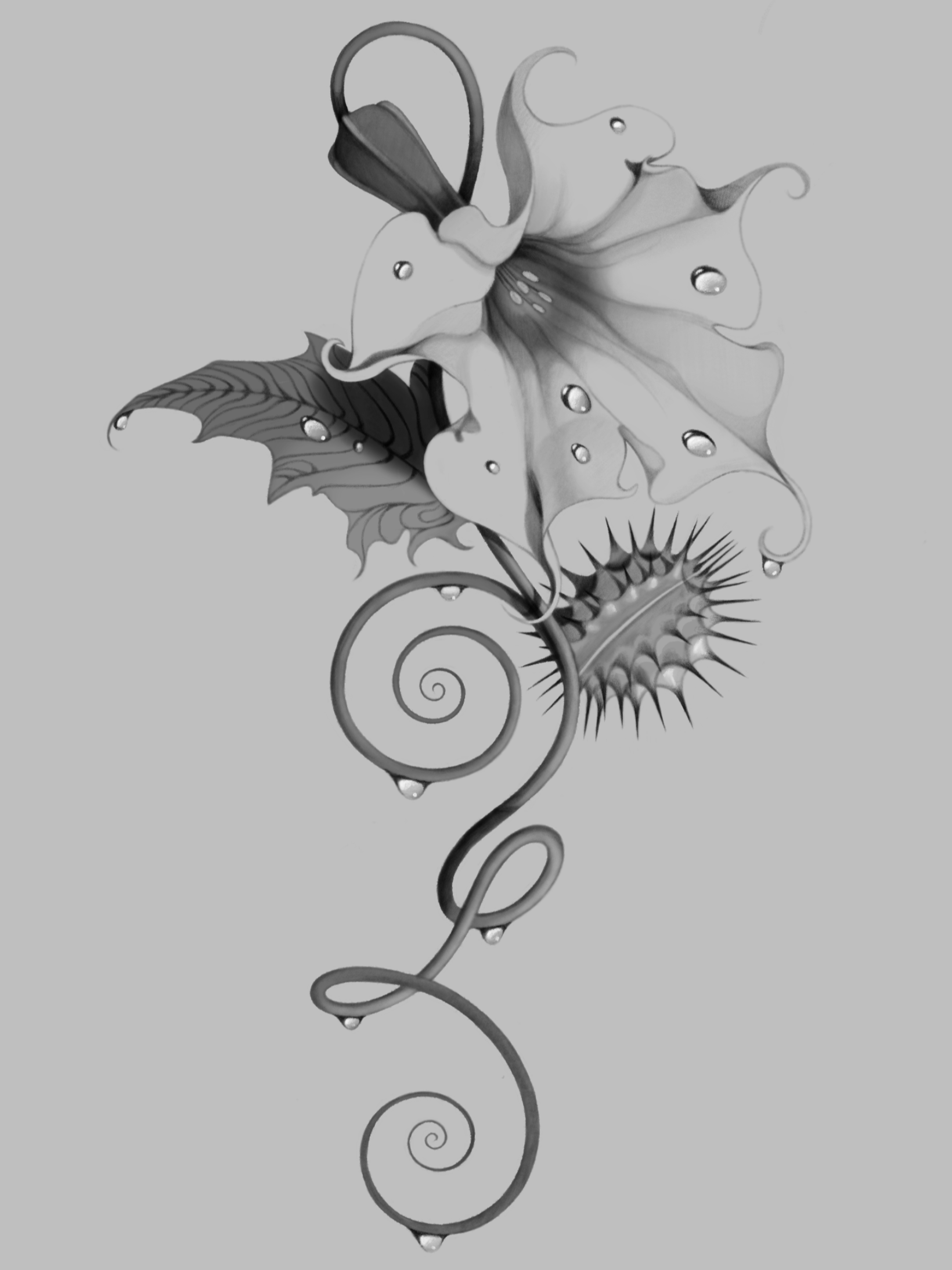 flower.png