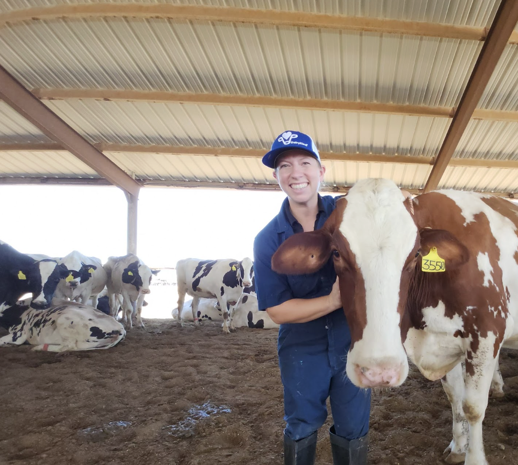 A person smiling and hugging a brown and white dairy cow inside a barn with several other cows.