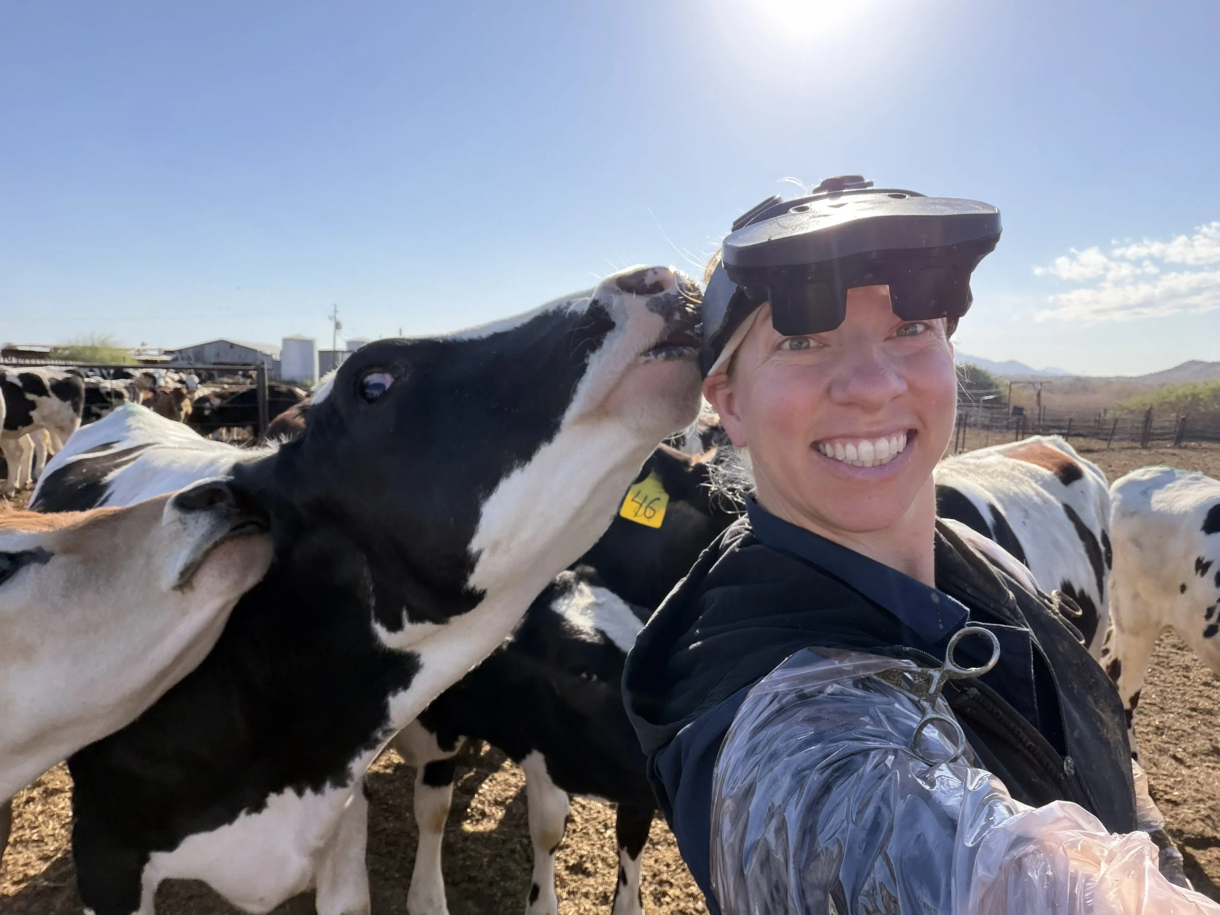 Dr. Michelle Schack