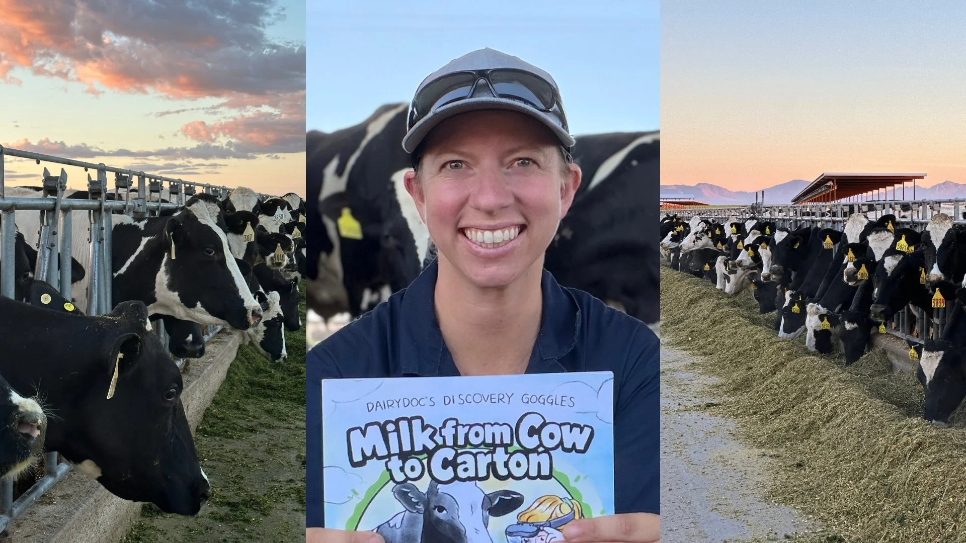 A woman holding a sign that says 'Dairy Doc's Discovery Goggles Milk from Cow to Carton,' standing between two rows of Holstein cows at a dairy farm during sunset.