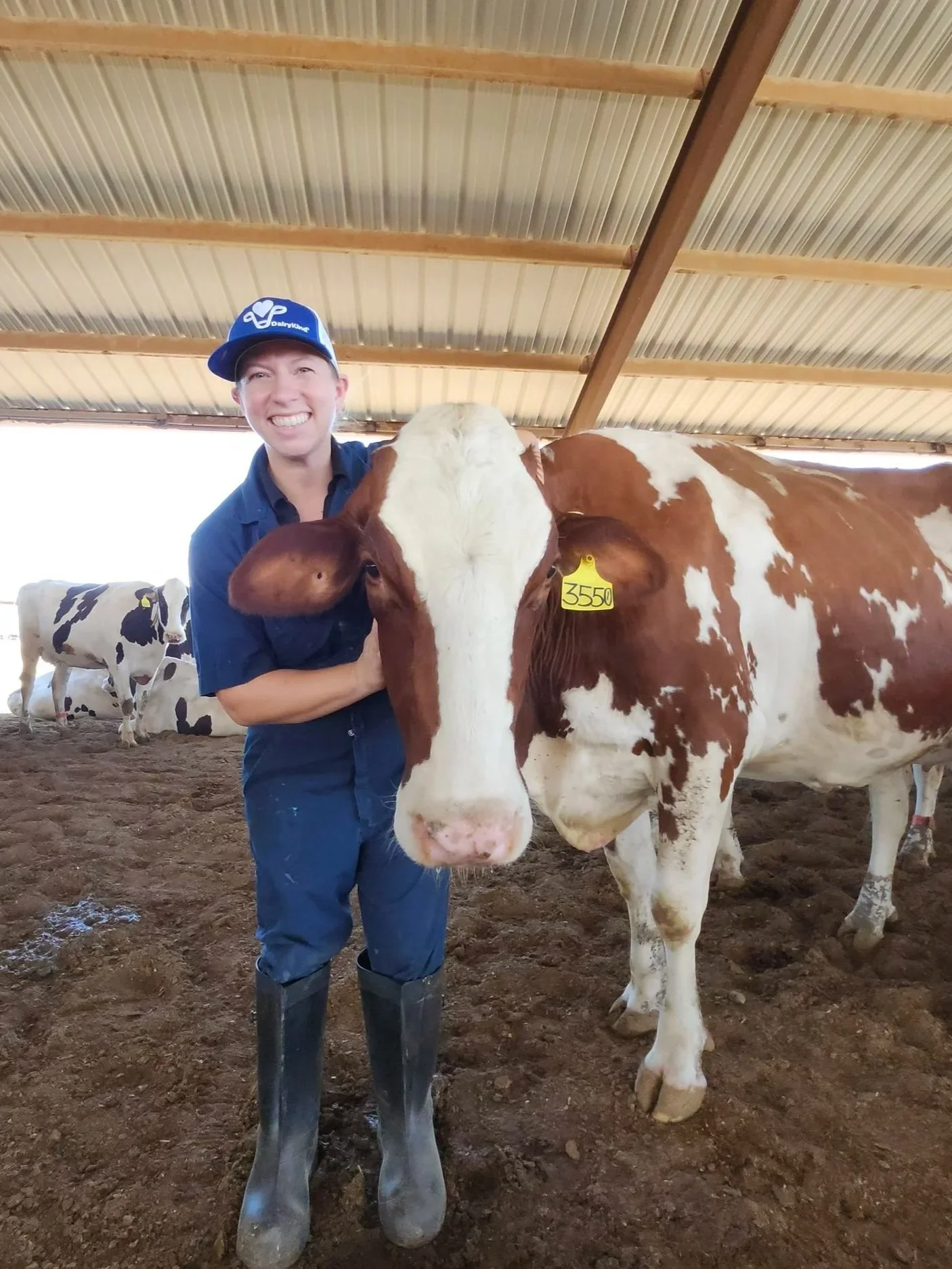 Dr. Michelle Schack smiling, wearing a blue cap and blue coveralls, standing with a brown and white cow inside a barn, with other cows in the background.