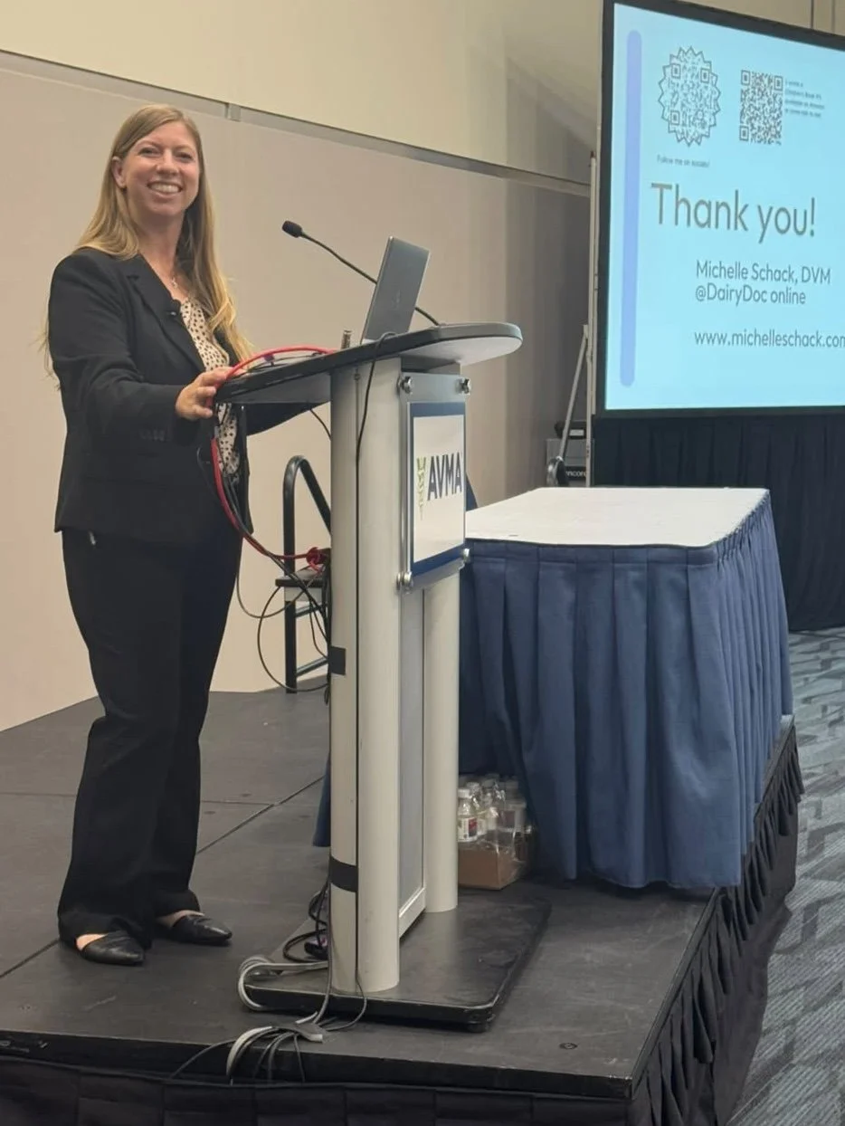 Dr. Michelle Schack speaking engagement.