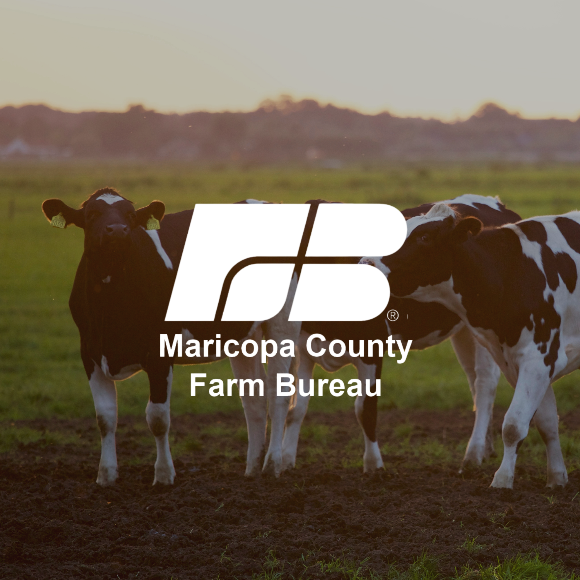 Maricopa County Farm Bureau.