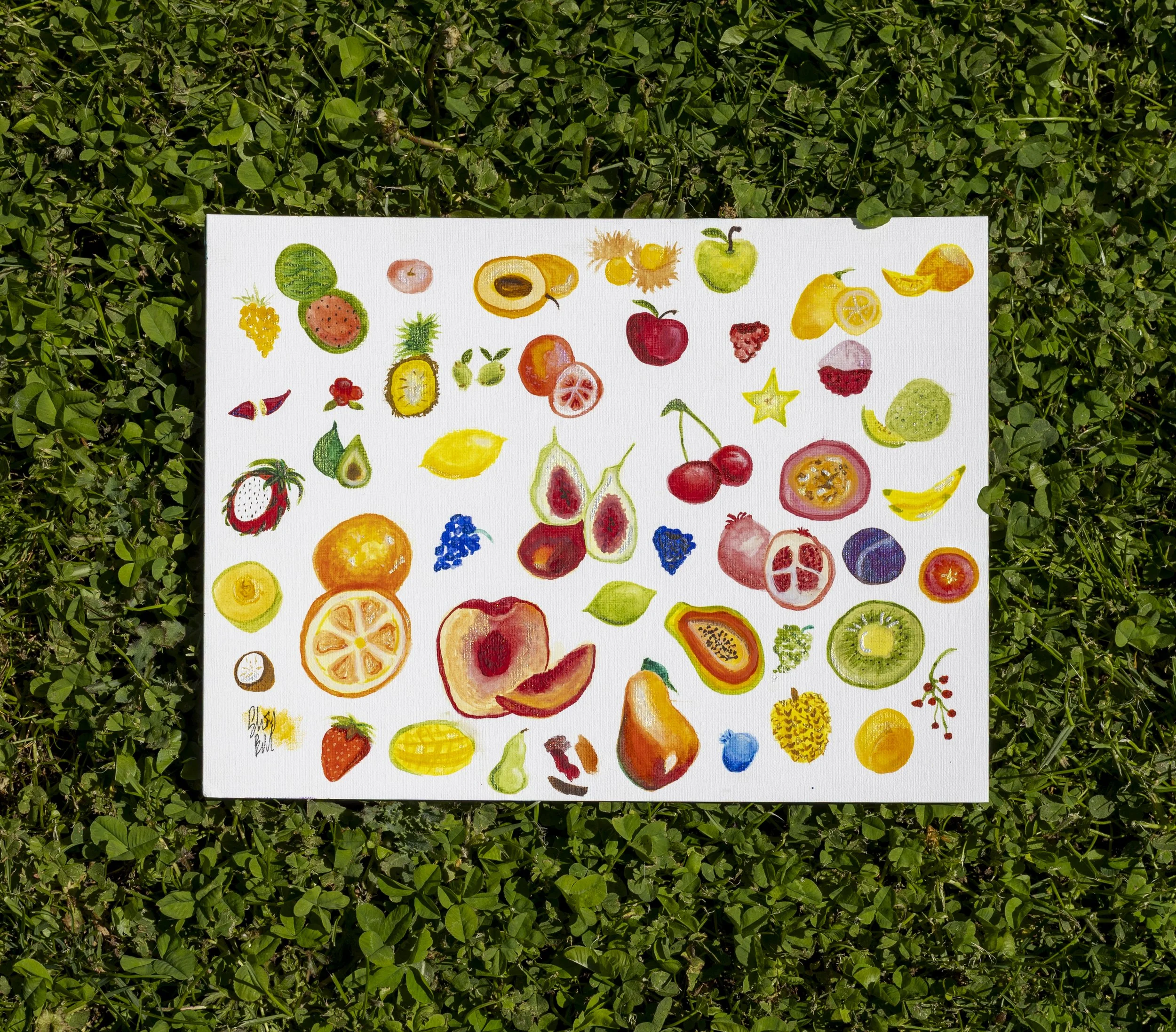 A colorful watercolor painting of various fruits displayed on a white canvas. The fruits include watermelon, apple, mango, pear, cherries, and others. The canvas is placed on green grass with small leaves surrounding it.