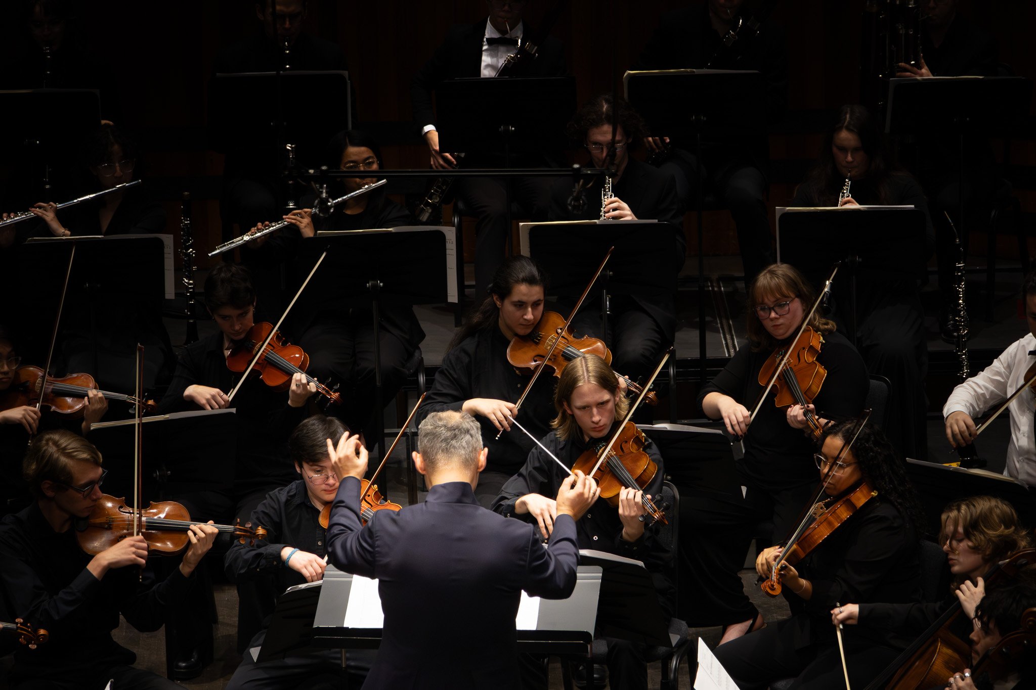 Orchestra of string and wind musicians performing on stage, led by a conductor, during a concert.