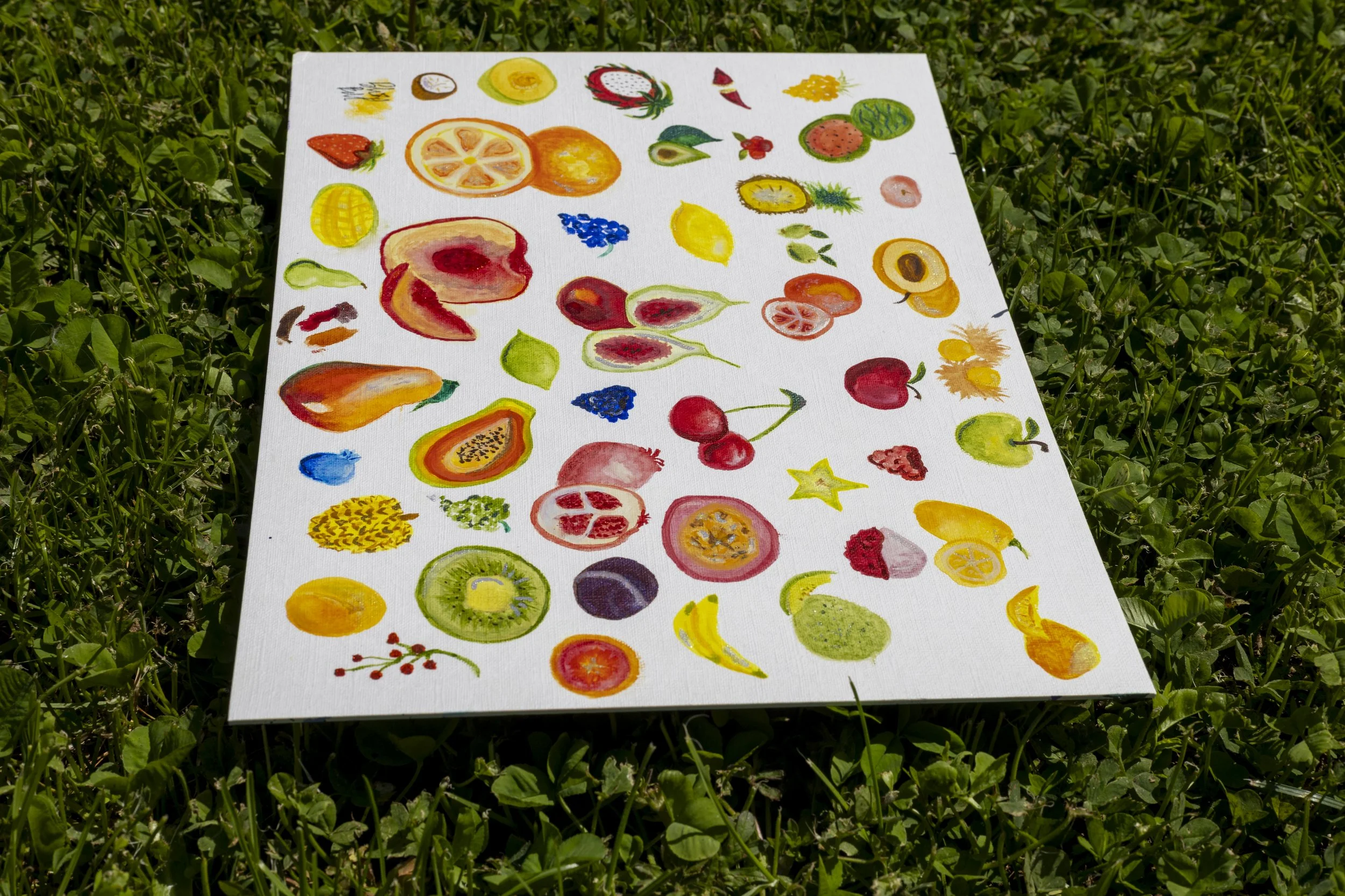 Watercolor painting of various fruits on a white canvas, placed on green grass. The fruits include strawberries, watermelon, lemon, peach, blueberry, kiwi, cherry, pomegranate, starfruit, and others.