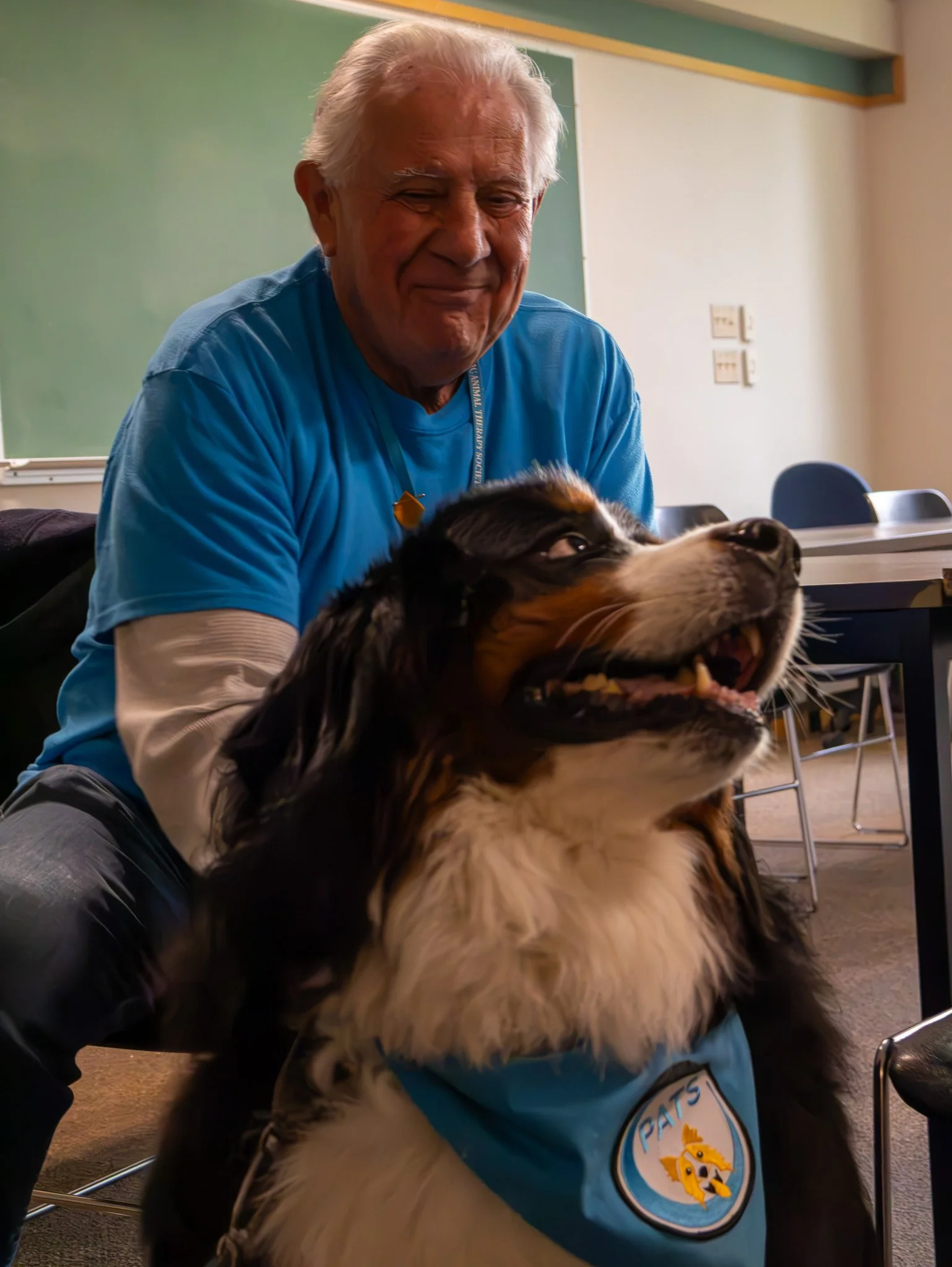 A smiling elderly man with white hair and a blue shirt, sitting in a classroom with a blackboard in the background, holding a large Bernese Mountain Dog wearing a blue vest with a patch that says "PAT’S" and a paw print logo.