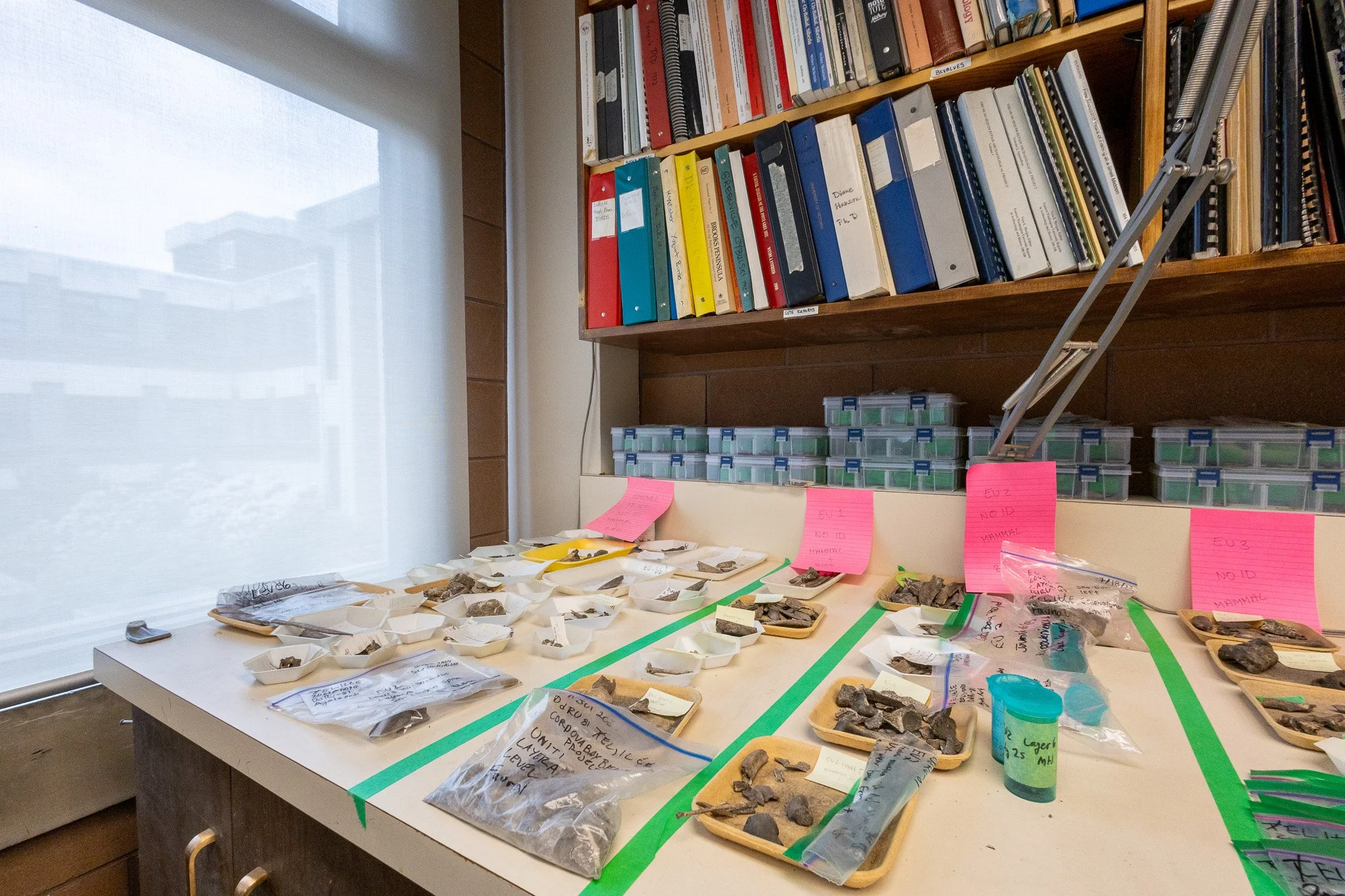 A table with rocks and labeled containers, with a bookshelf in the background.