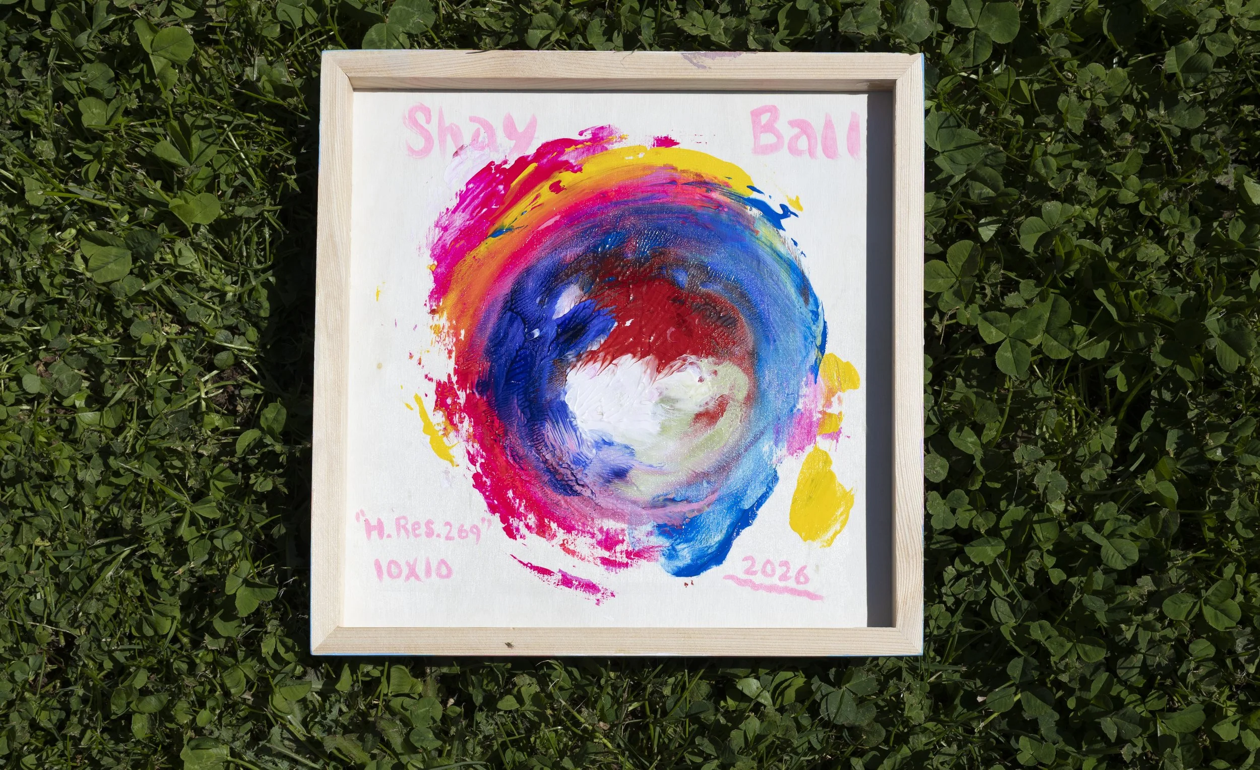 A framed abstract painting of a colorful swirling pattern placed on green grass. The painting features bright pink, yellow, red, blue, and white colors. Handwritten text in pink near the top reads "Shay Ball" and at the bottom includes numbers and signatures.