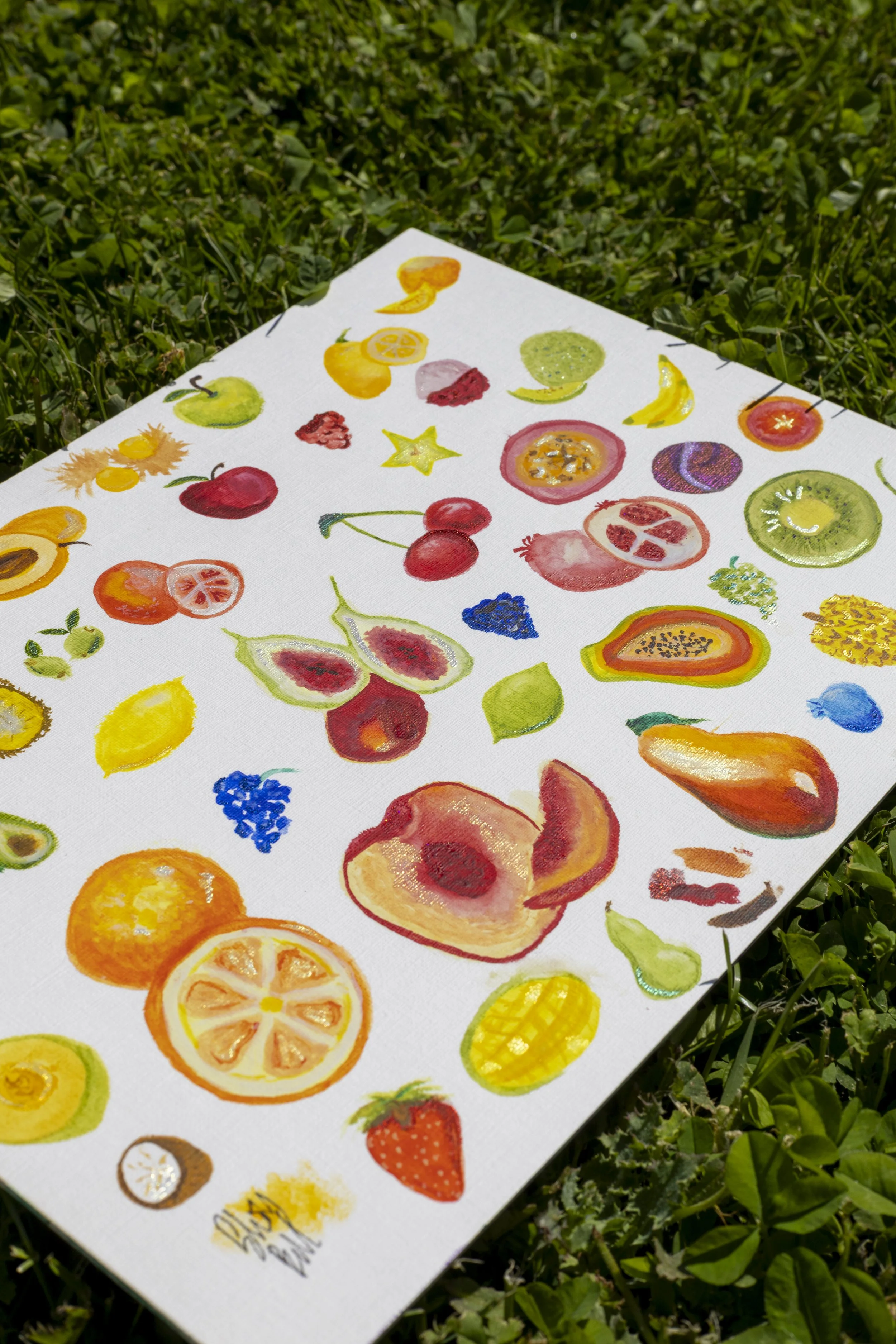Watercolor paintings of various fruits, including oranges, strawberries, kiwis, and cherries, on a white canvas placed on grass.