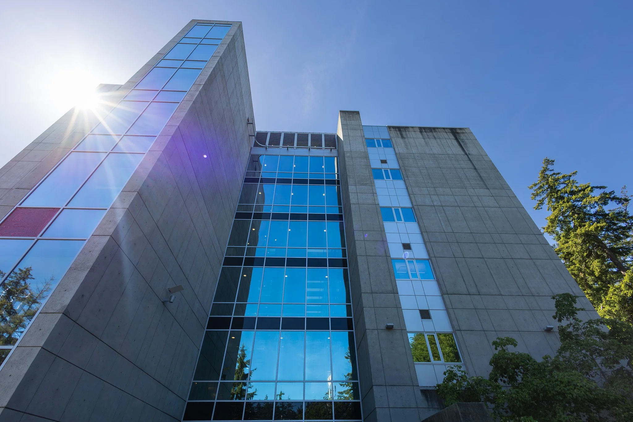 A modern multi-story building with large glass windows reflecting the blue sky and trees, with sunlight creating lens flare and a clear sky in the background.