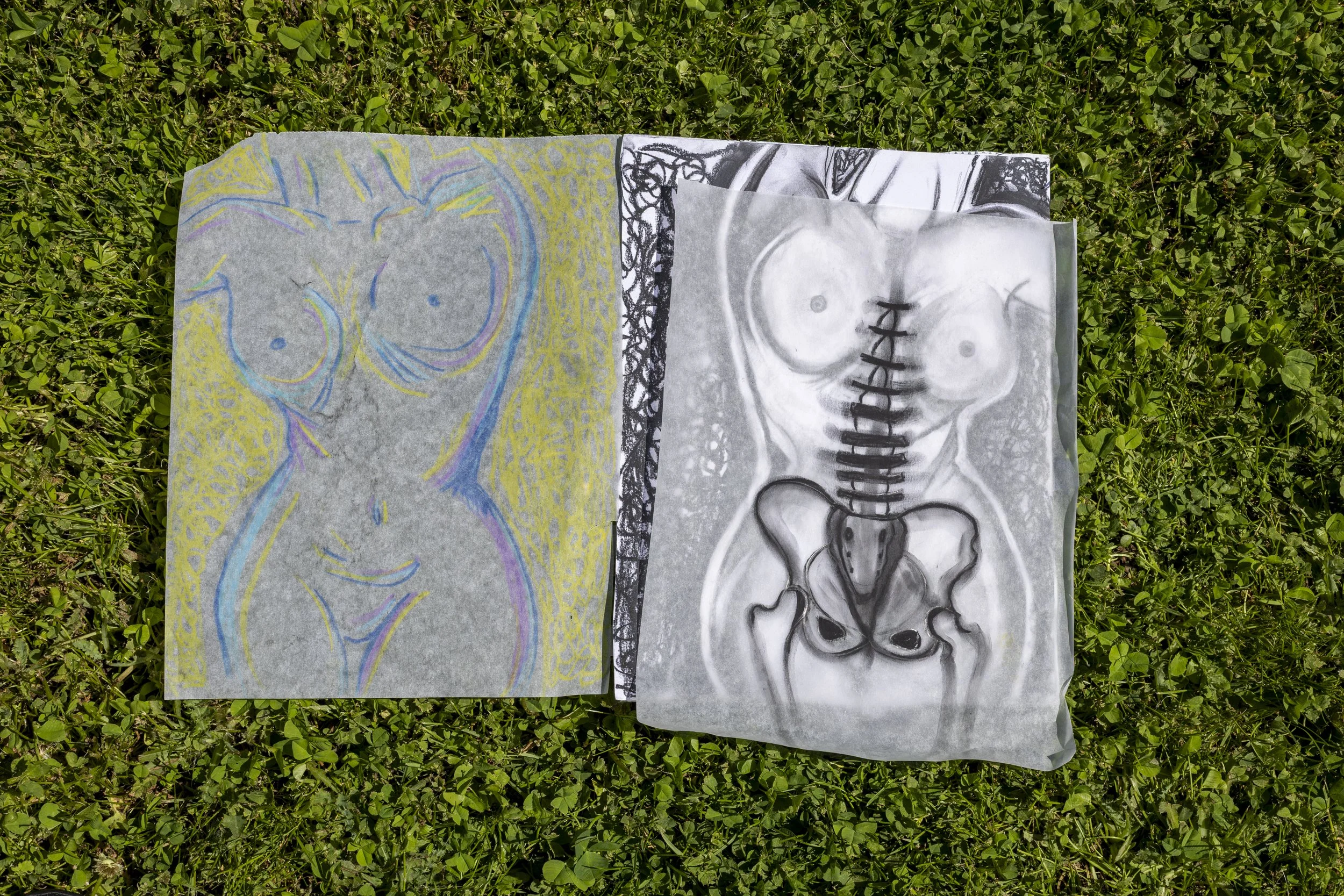 Two pieces of paper with sketches of a woman's profile and a human torso, laid on green grass. The left sketch is colorful with outlines of a woman, and the right sketch is monochrome, showing detailed anatomy of a torso.