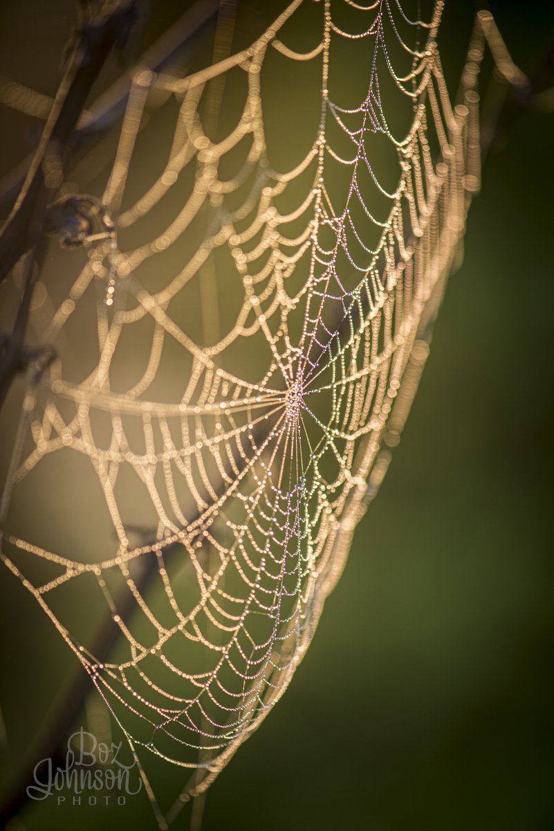DSC_7232.jpg