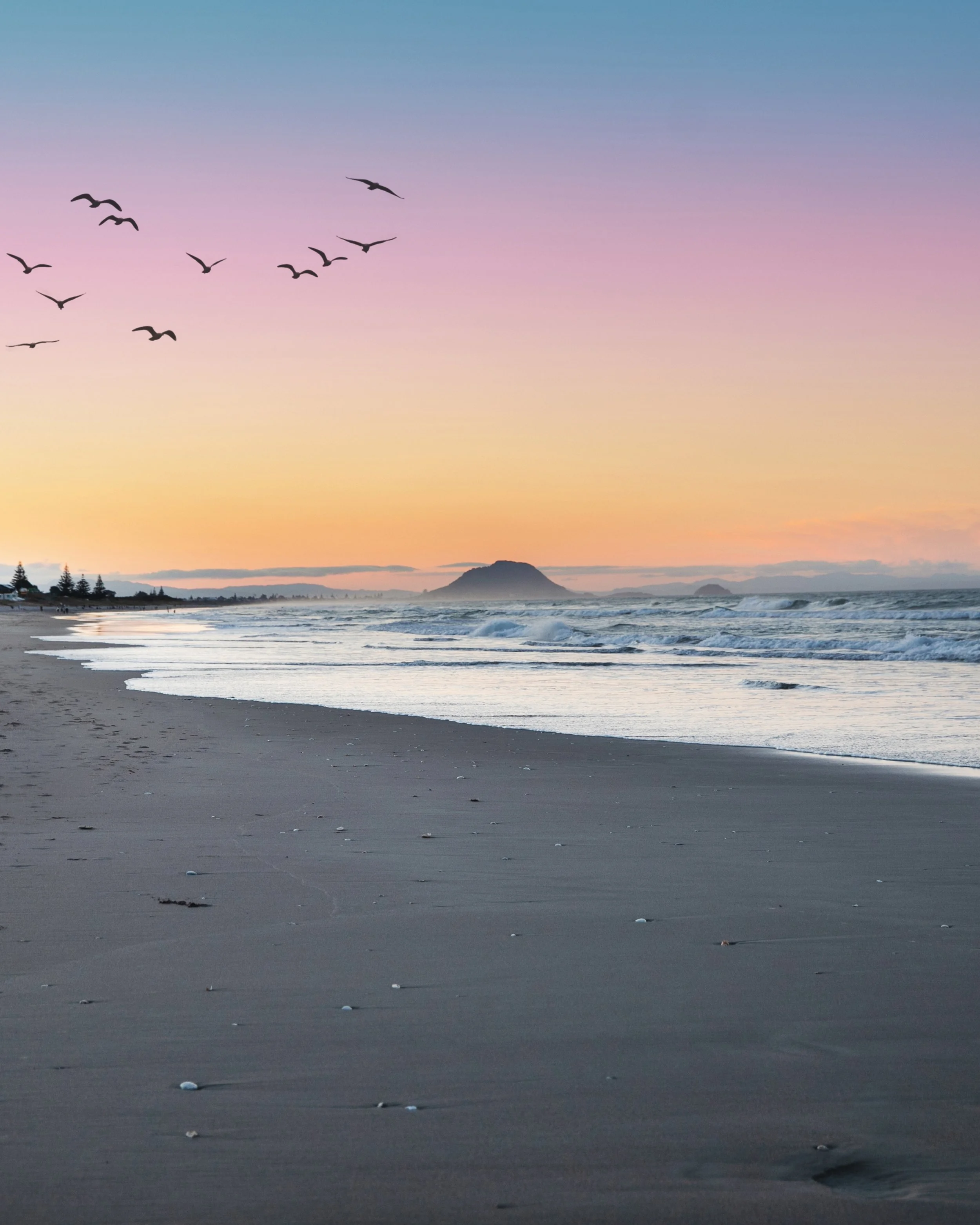 A beach scene at sunset with a pastel-colored sky, waves crashing on the shore, silhouettes of birds flying in the sky, and distant mountains on the horizon.