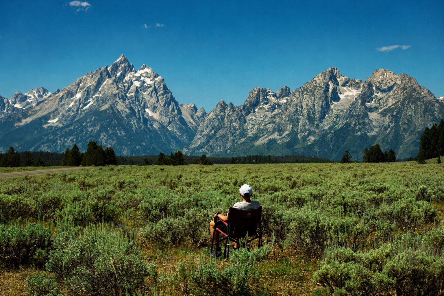 A person sitting in a chair, facing mountains with snow-capped peaks, in a field of green plants under a blue sky.