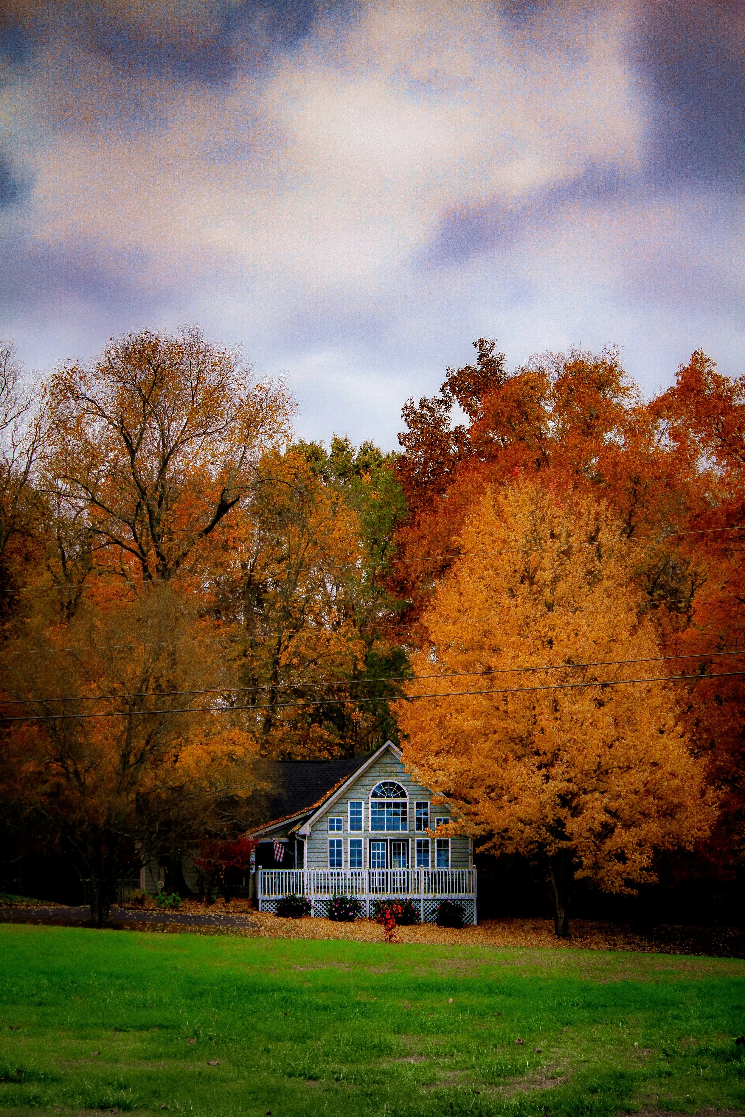 A house with blue siding and white trim is surrounded by trees with autumn foliage. The house has a porch with a white railing and potted flowers. The scene is set against a dark, cloudy sky.
