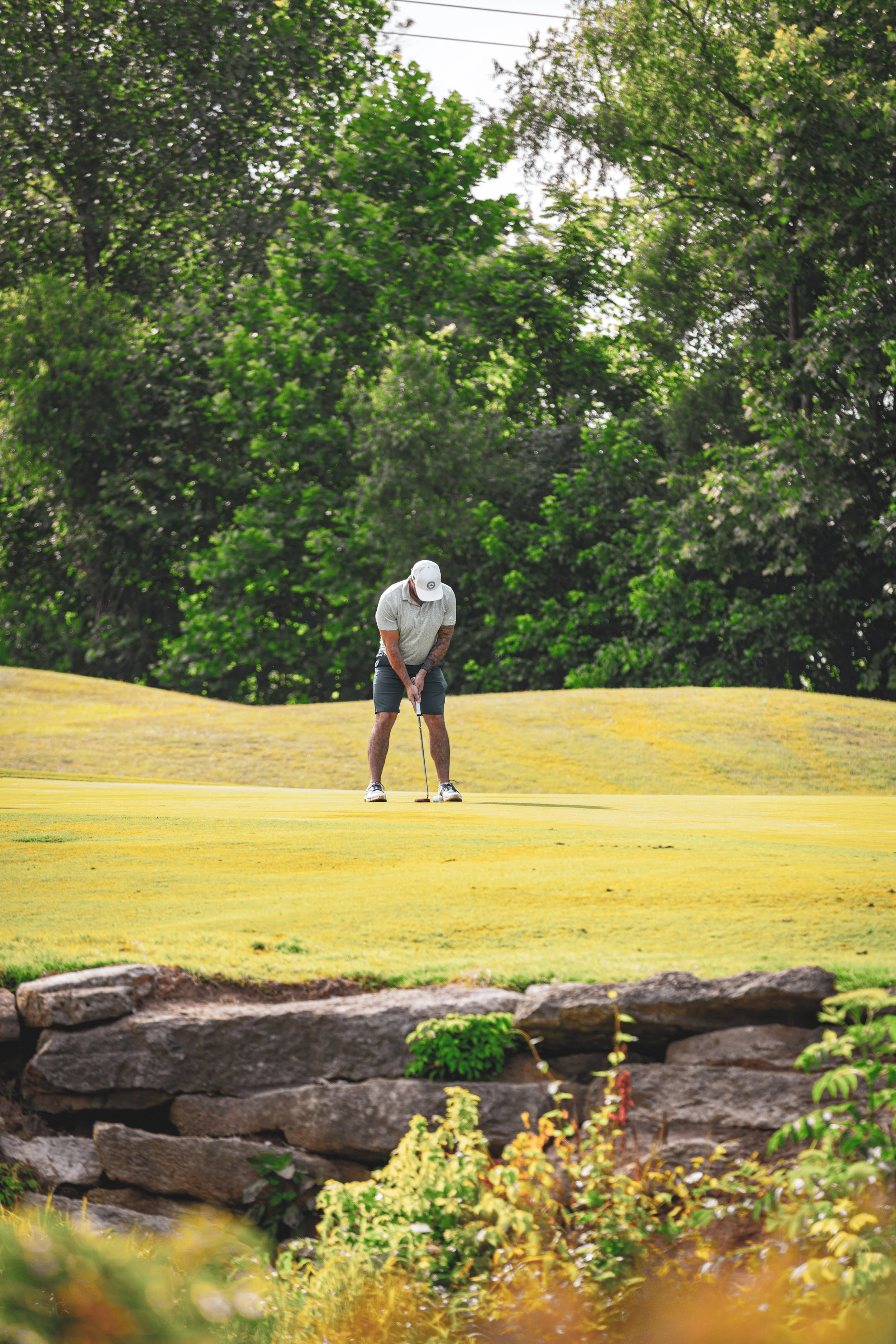A person in a white cap and gray shirt is playing golf on a course with green and yellow grass, surrounded by lush green trees and rocks in the foreground.