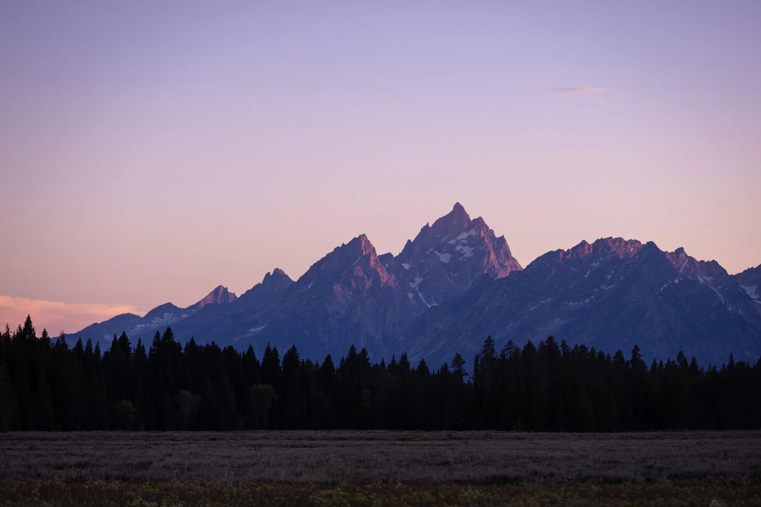 Mountain range with snow-capped peaks against a pastel sky at dawn or dusk, with a forest in the foreground.