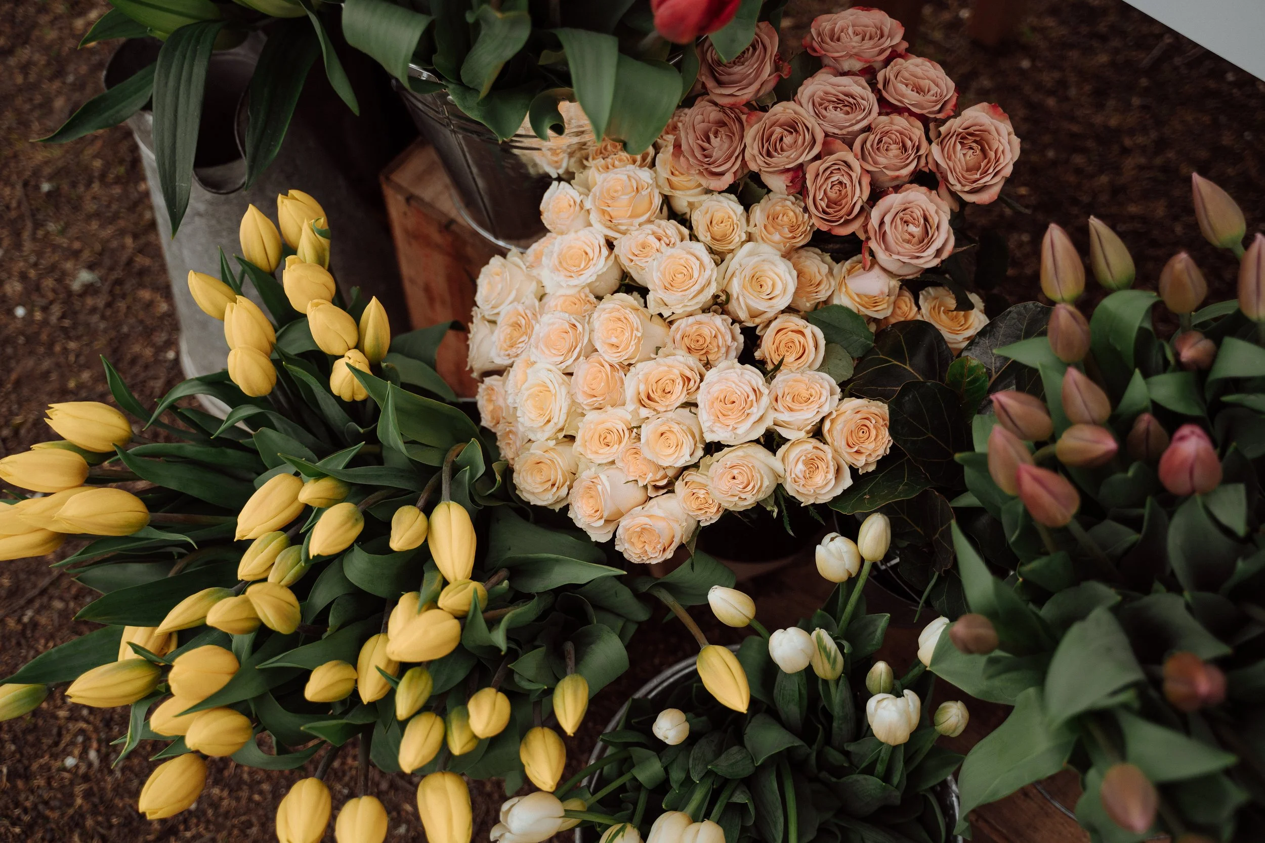 Ivy n Rose Clarendon House-117.jpg