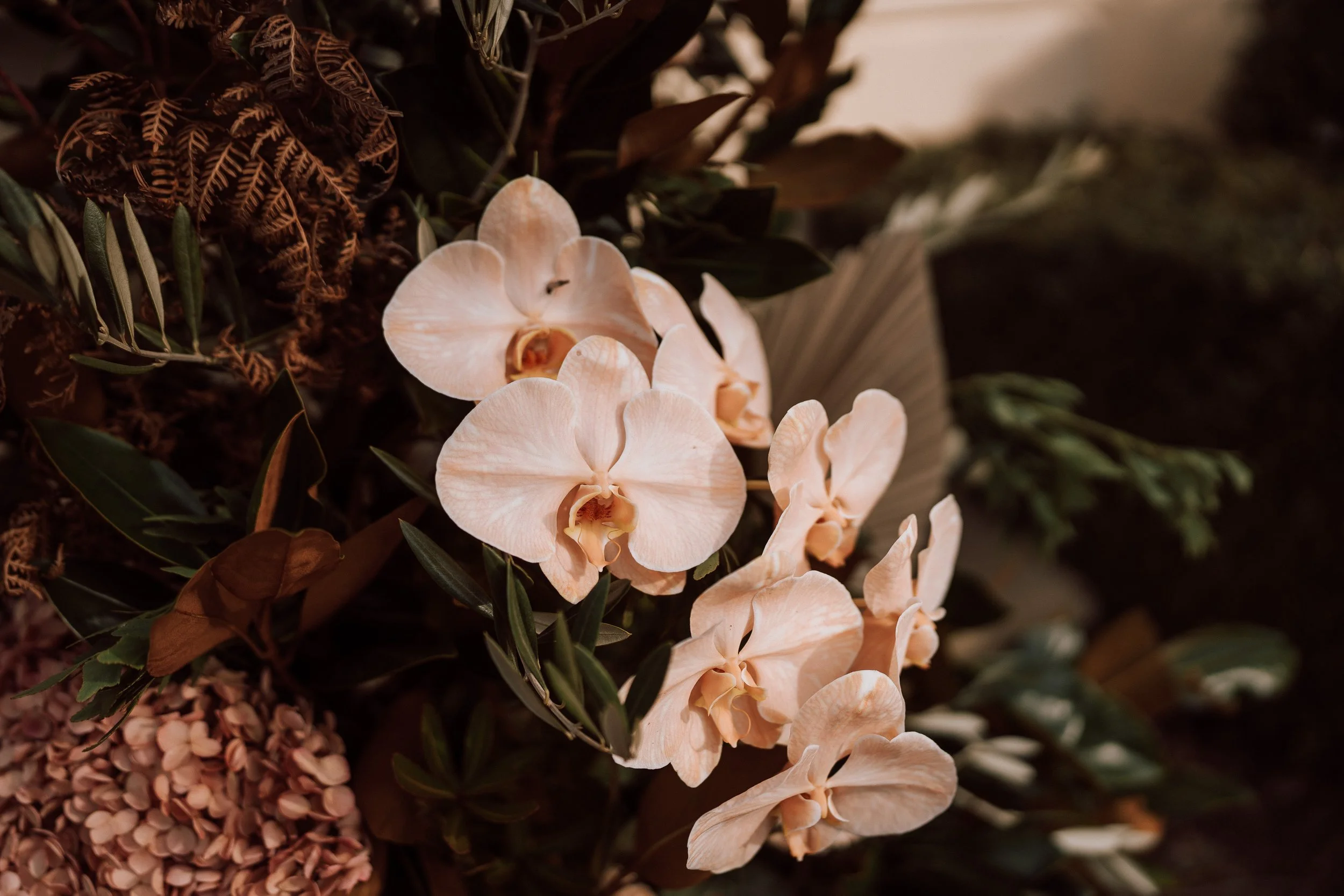 Ivy n Rose Clarendon House-31.jpg