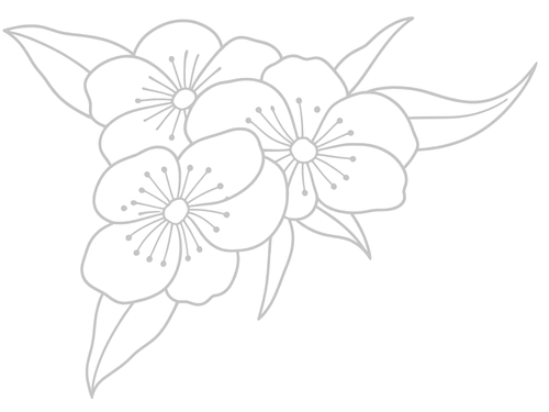 Outline drawing of a cluster of flowers and leaves.