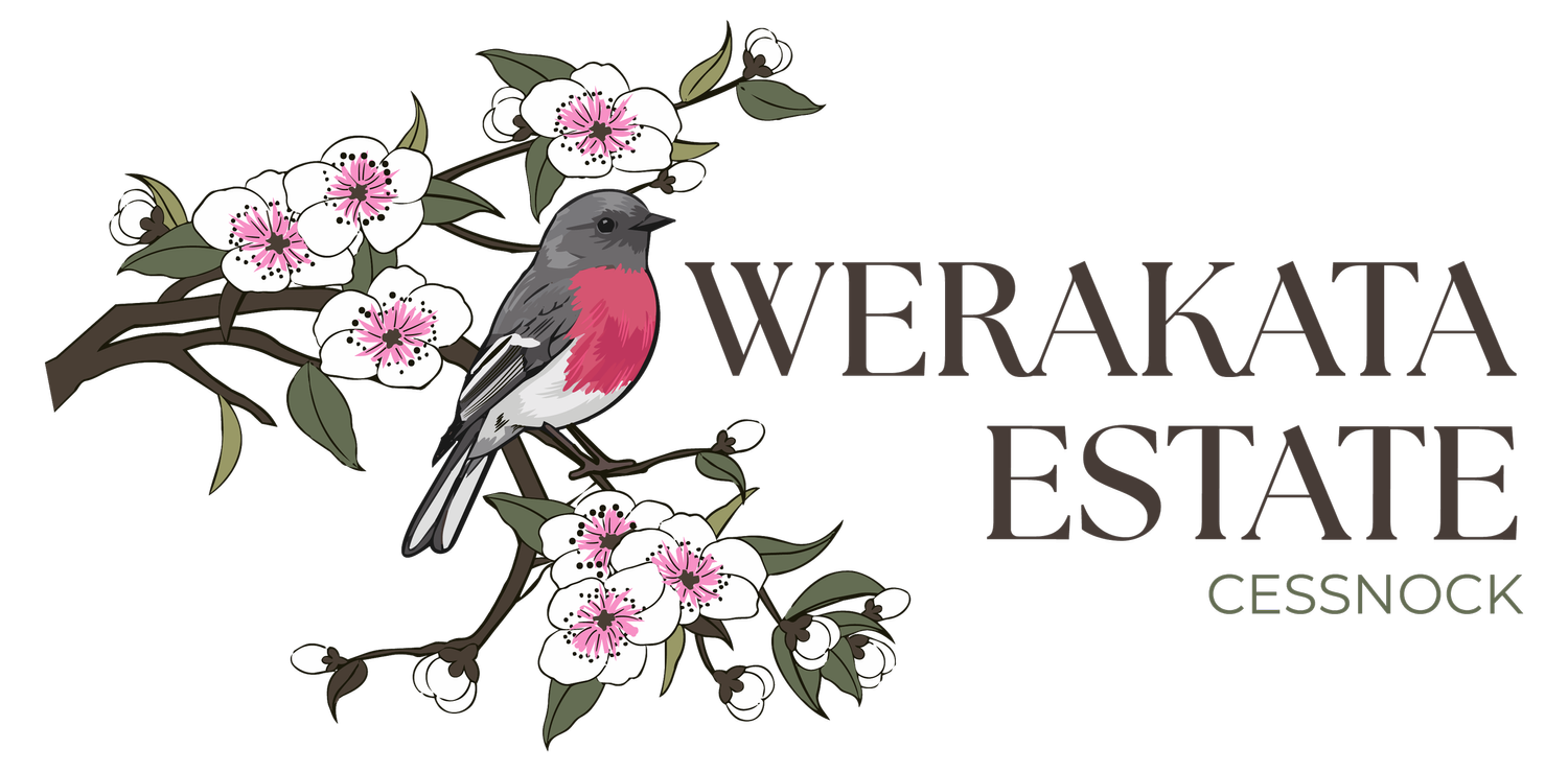 Werakata Estate | Land For Sale in Cessnock