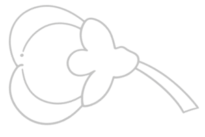 Line drawing of a blossom with a stem and leaf
