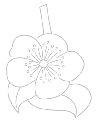 An outline drawing of a flower with a stem and petals