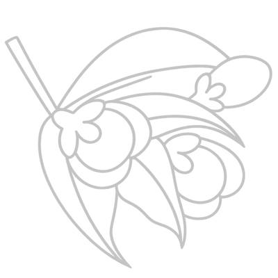 Outline of a cluster of flower buds and leaves