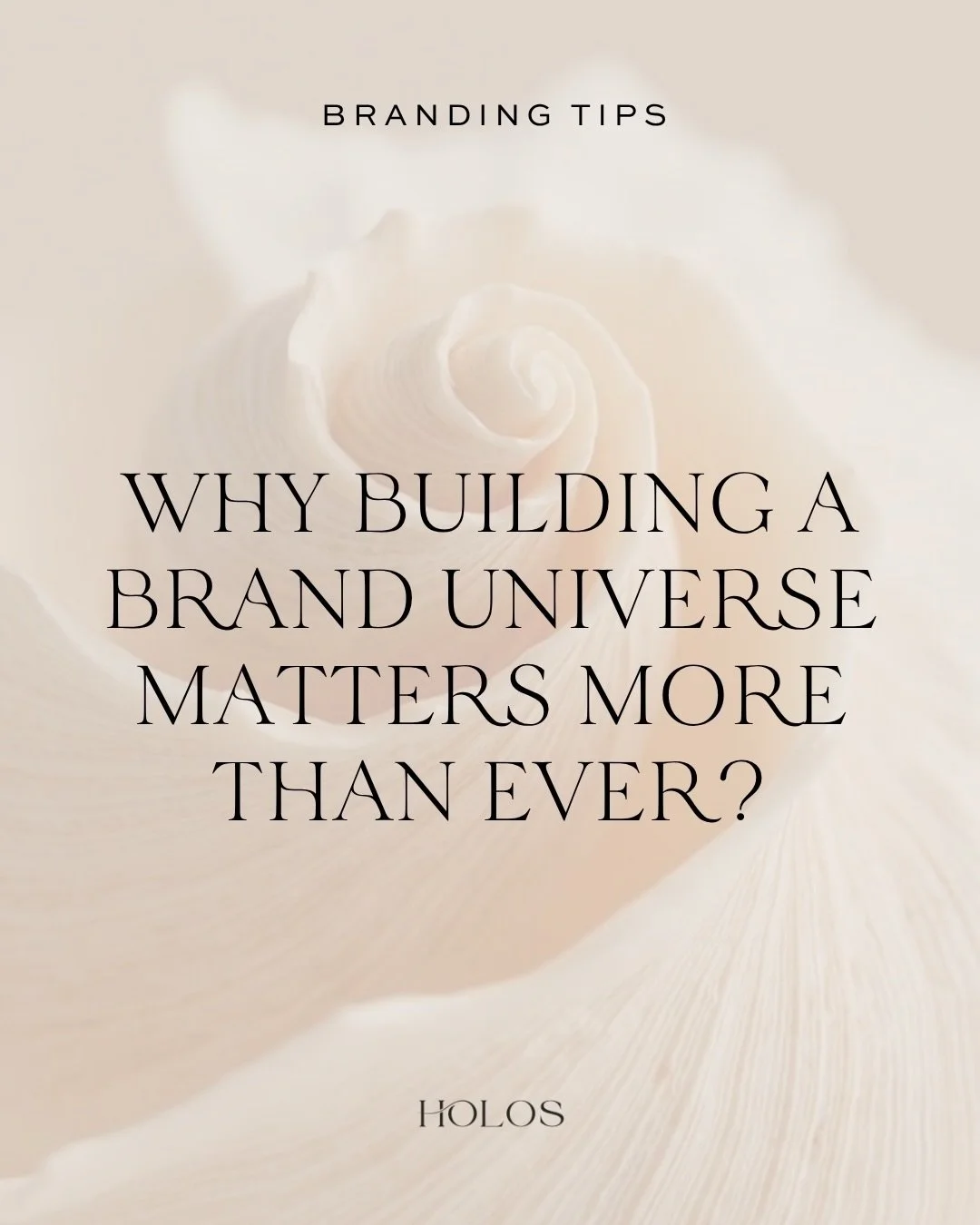 A brand universe matters because people are no longer choosing only between products or services.

They are choosing what feels aligned.

A world.
A feeling.
A point of view.
A way of being.

Visual identity is only one layer.

The real power lives i