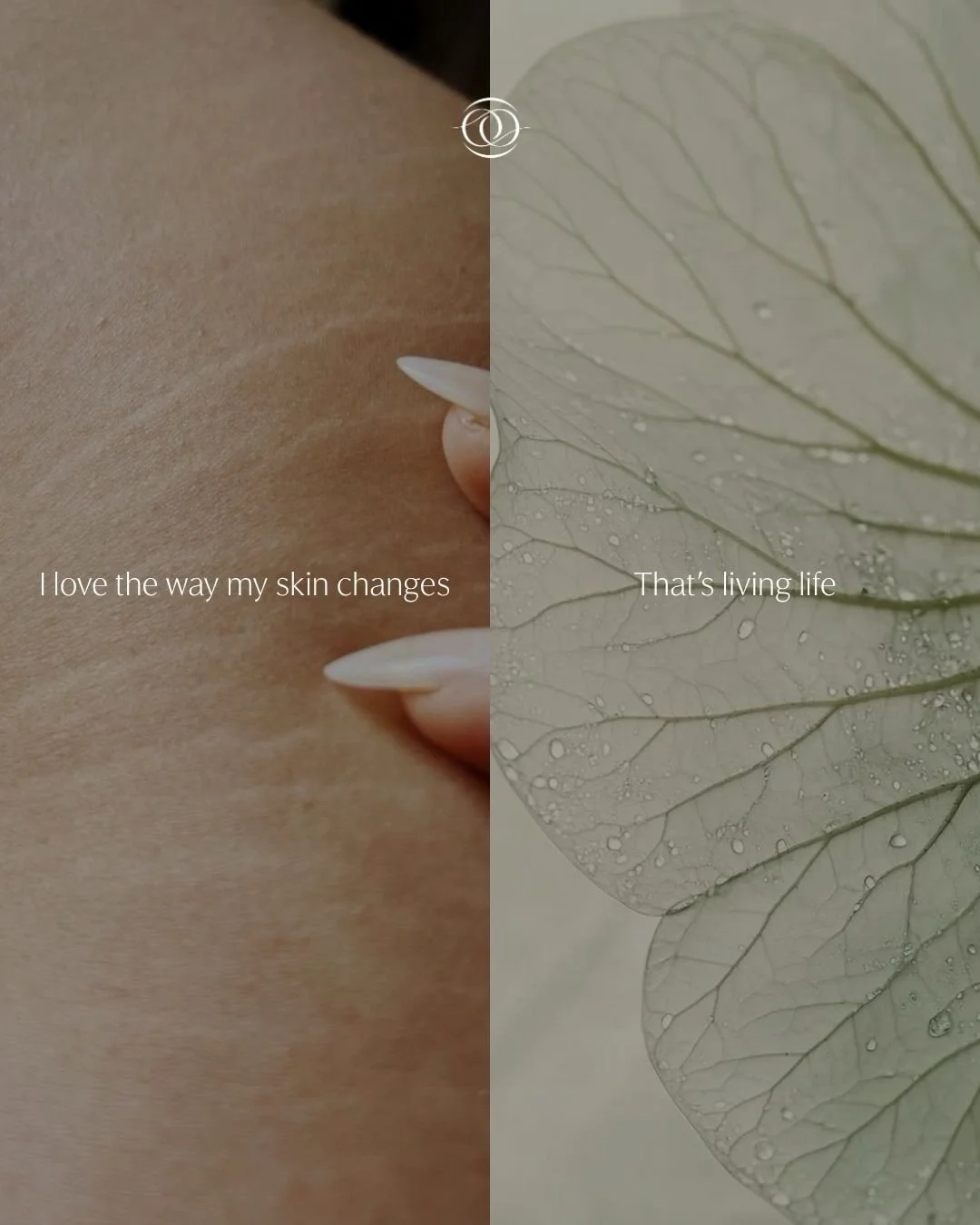 Everything is connected.

The patterns in our skin echo those found in nature. The lines of a tree tell stories of growth, just as the lines on our bodies tell ours.

Different forms. The same underlying language.

This is oneness. The understanding 