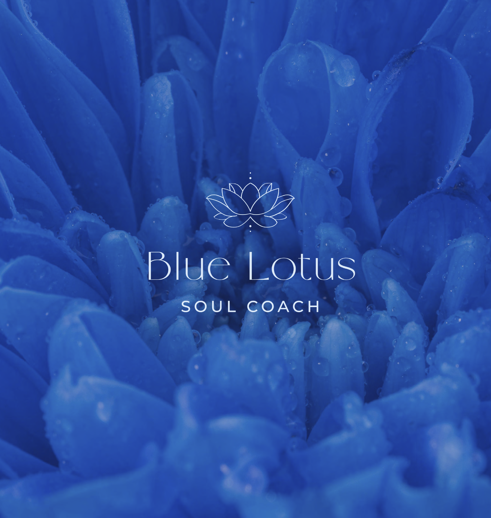 BLUE LOTUS LOGO.png