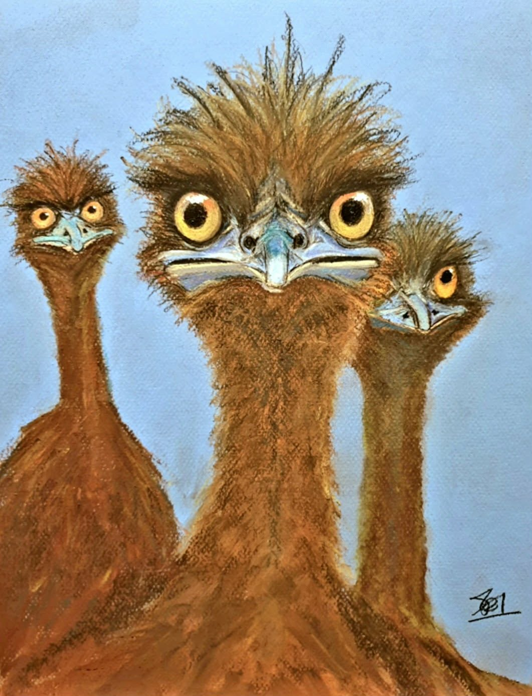 Dawn_Emu 5.png