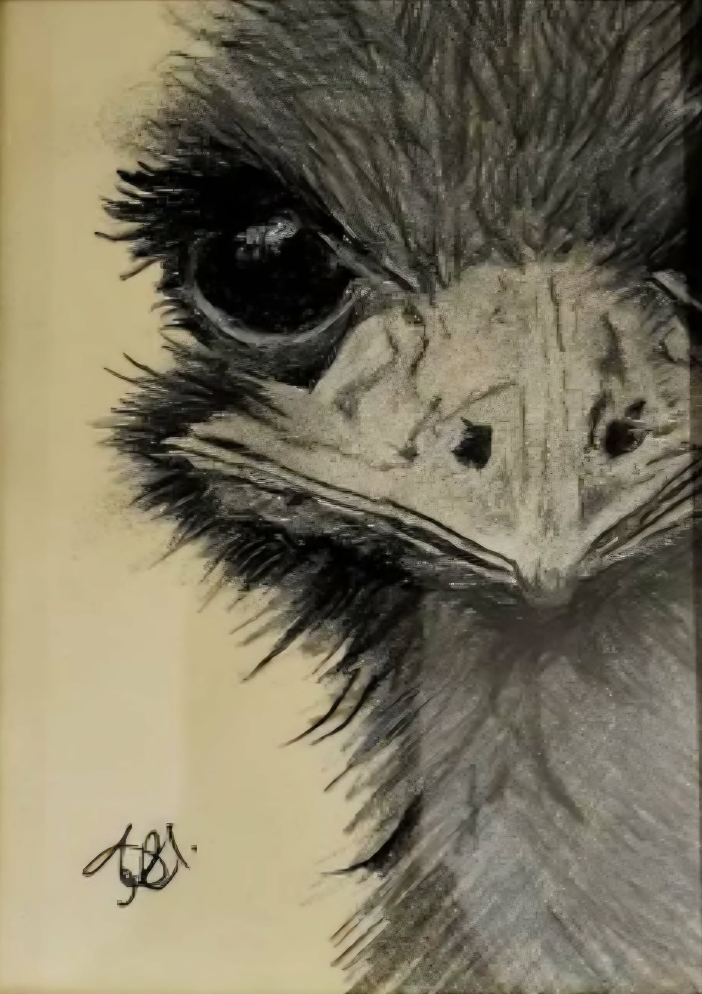 Dawn_Emu 1.png