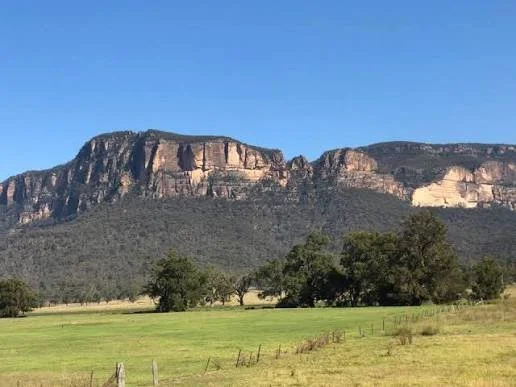 Capertee Valley, a scenic landscape with green grass, trees, and a mountain range in the background under a clear blue sky.