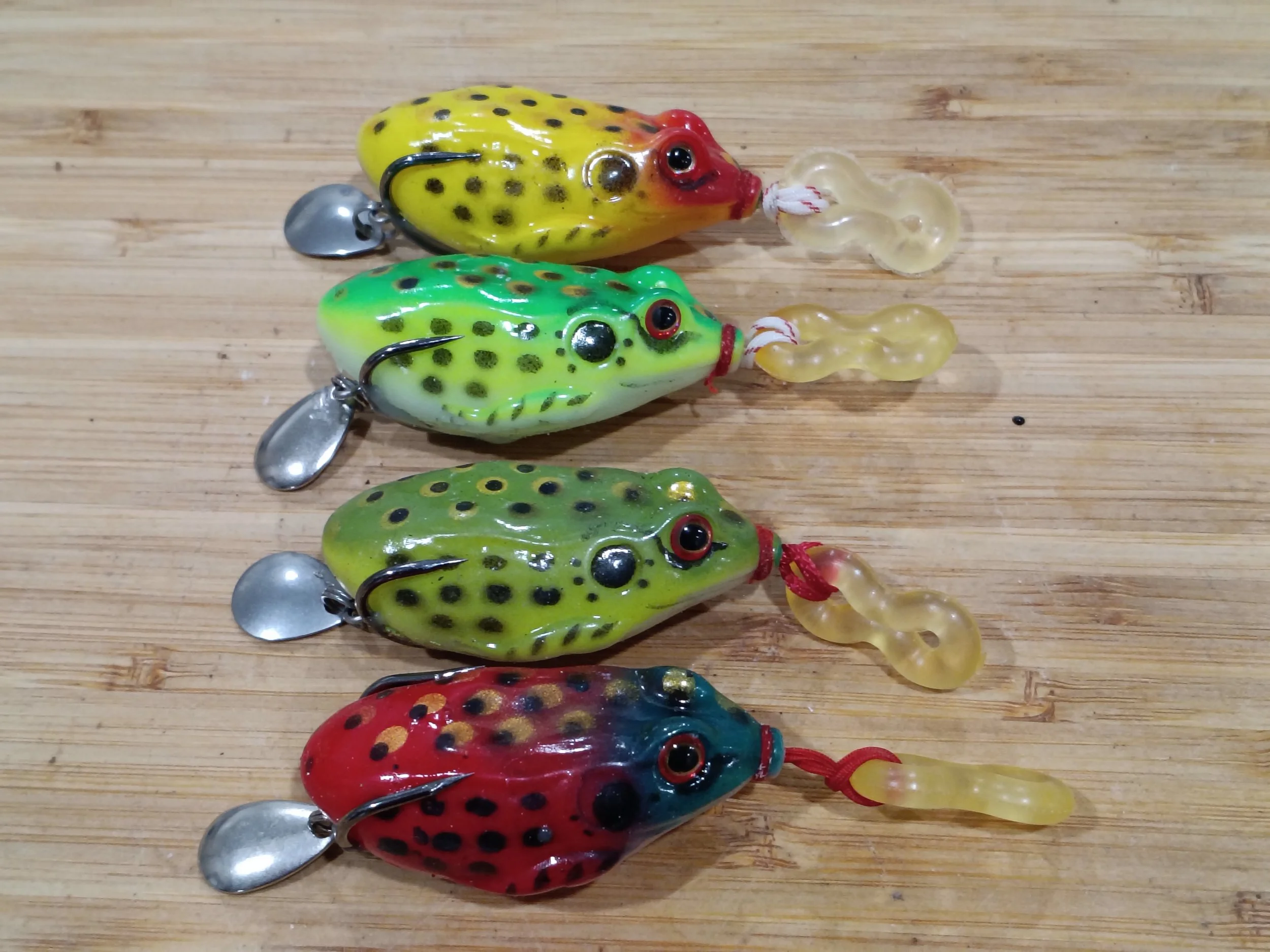 Fishooka Spring frog