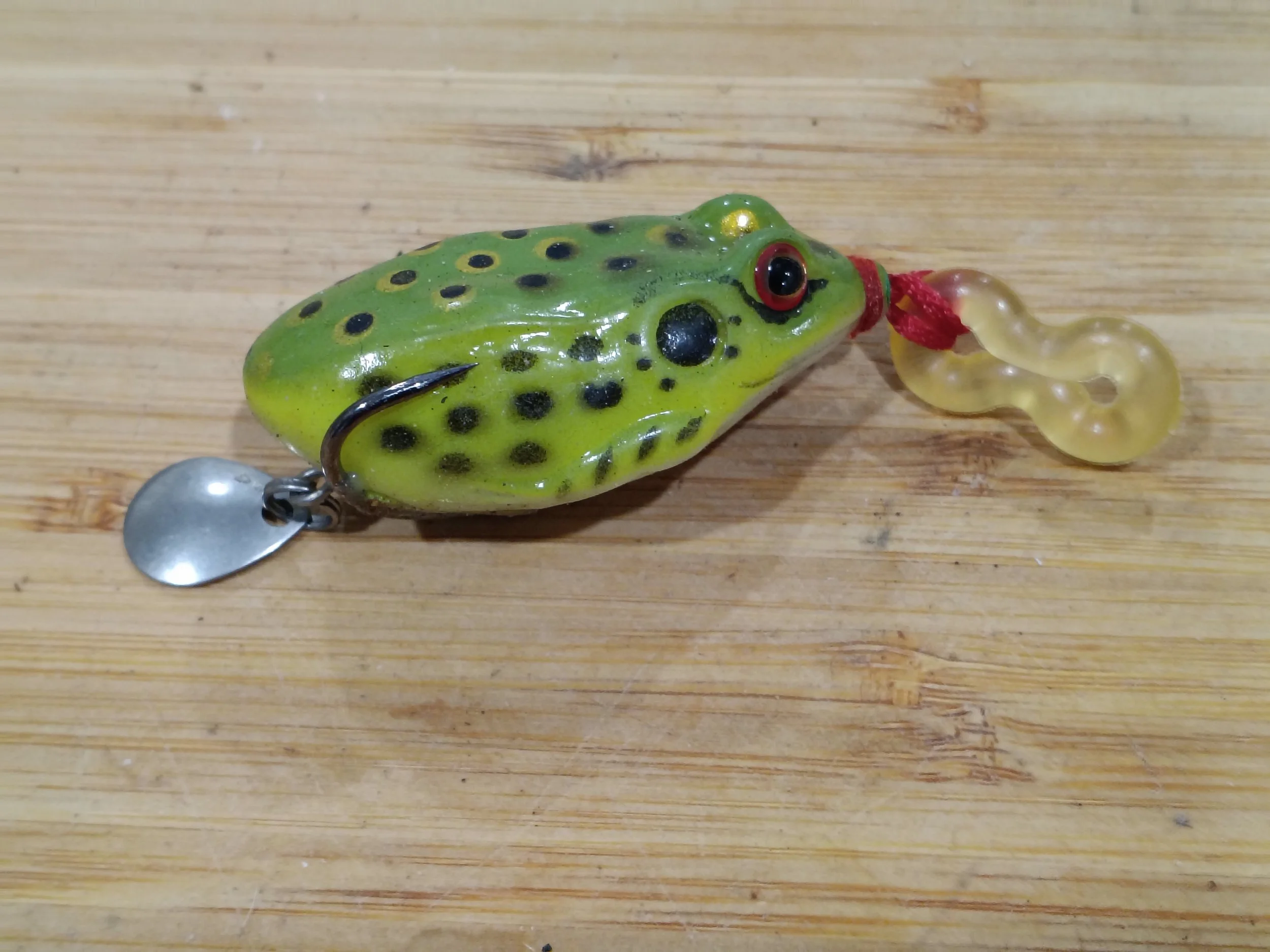 IMG_20260827_124201222.jpg